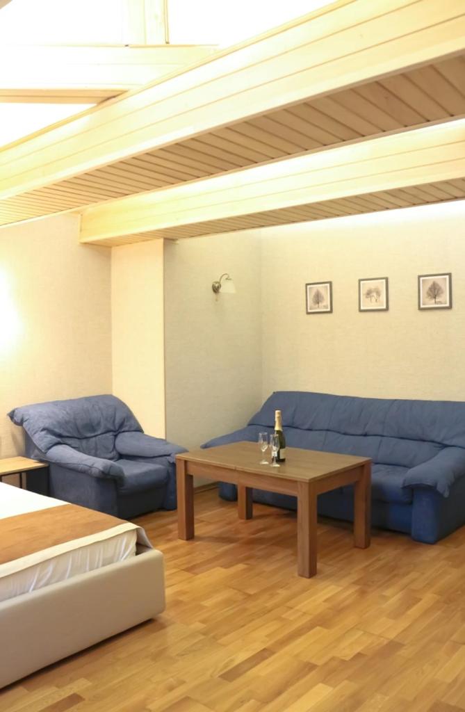 Sofiivs'ka apartments