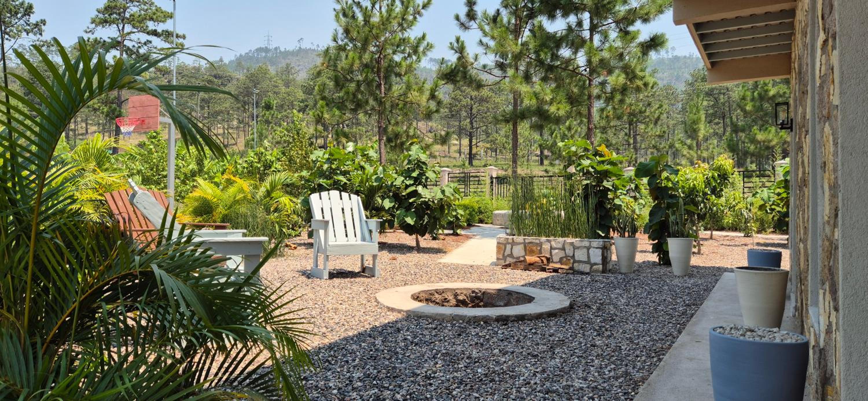 Tinyhouses and Tropical Gardens