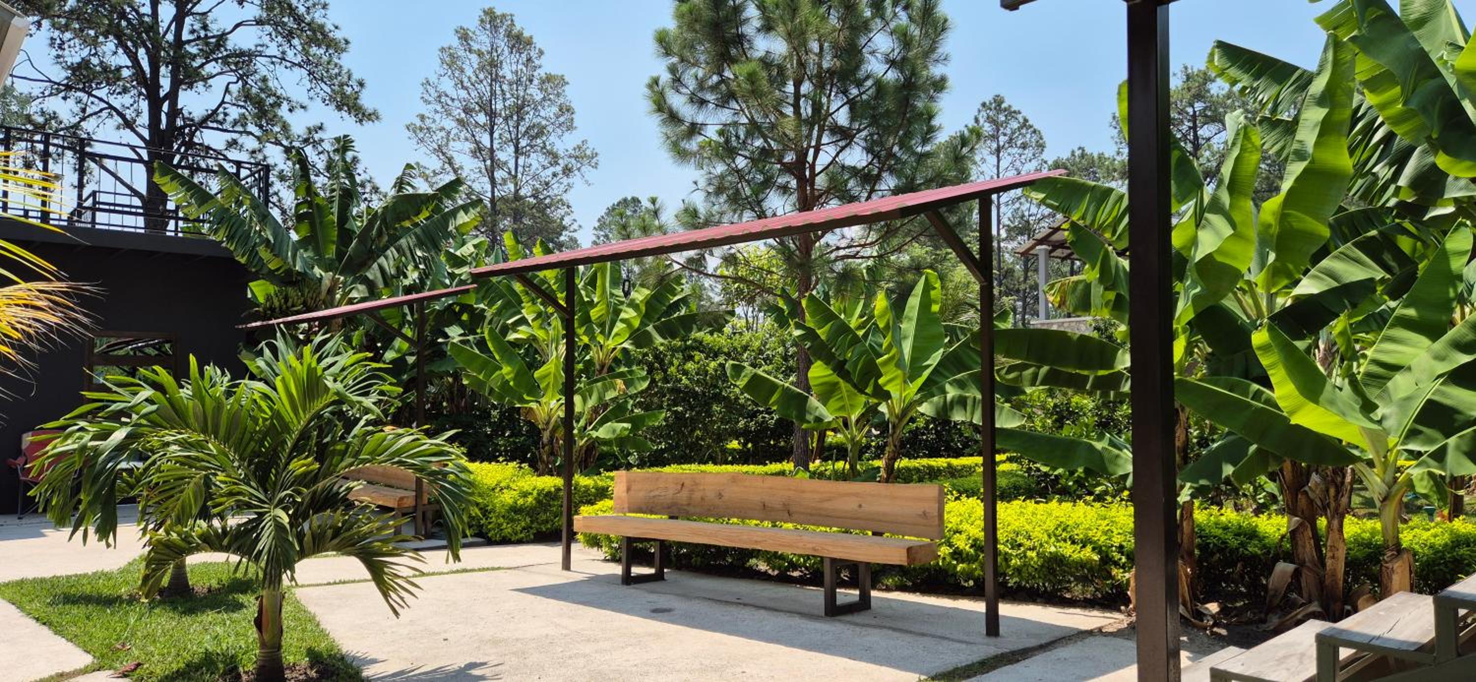 Tinyhouses and Tropical Gardens