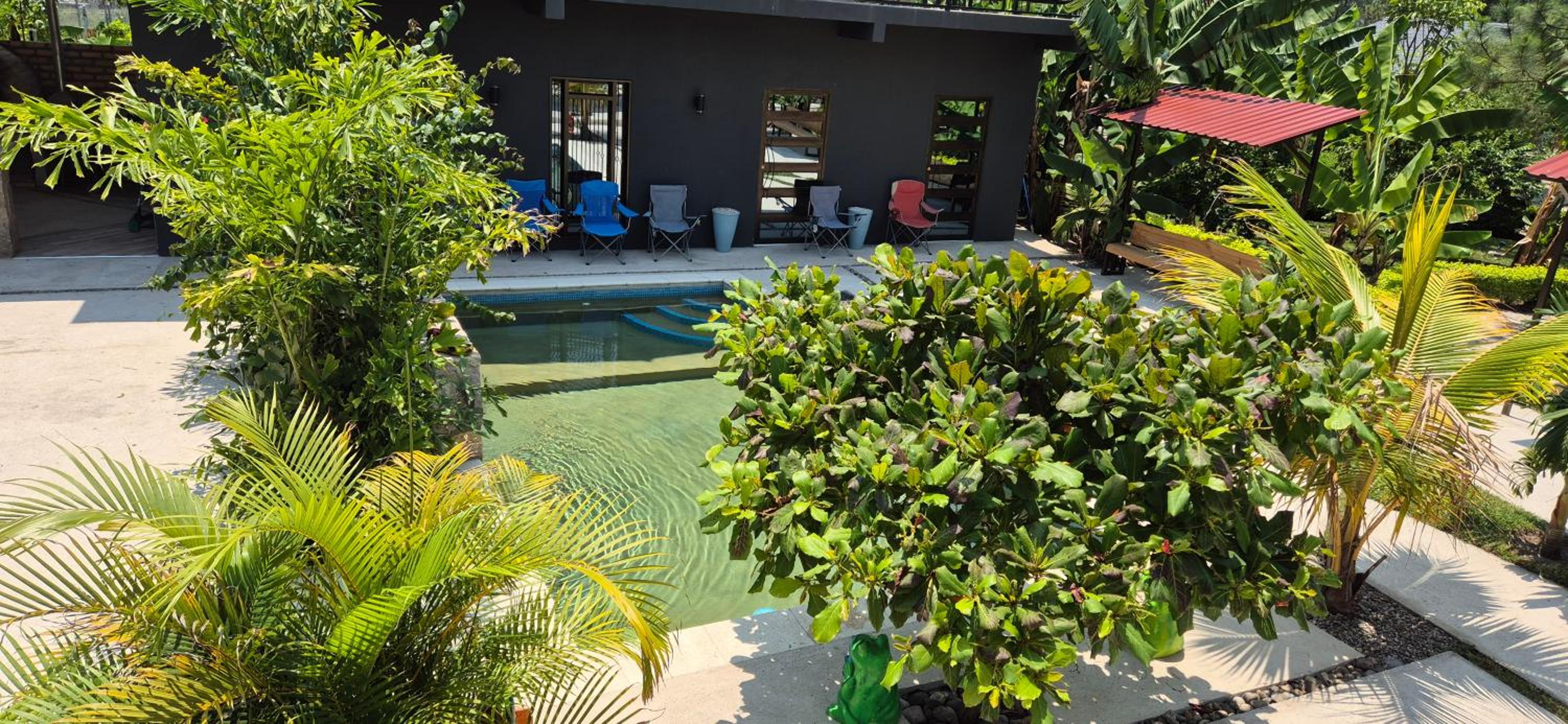 Tinyhouses and Tropical Gardens