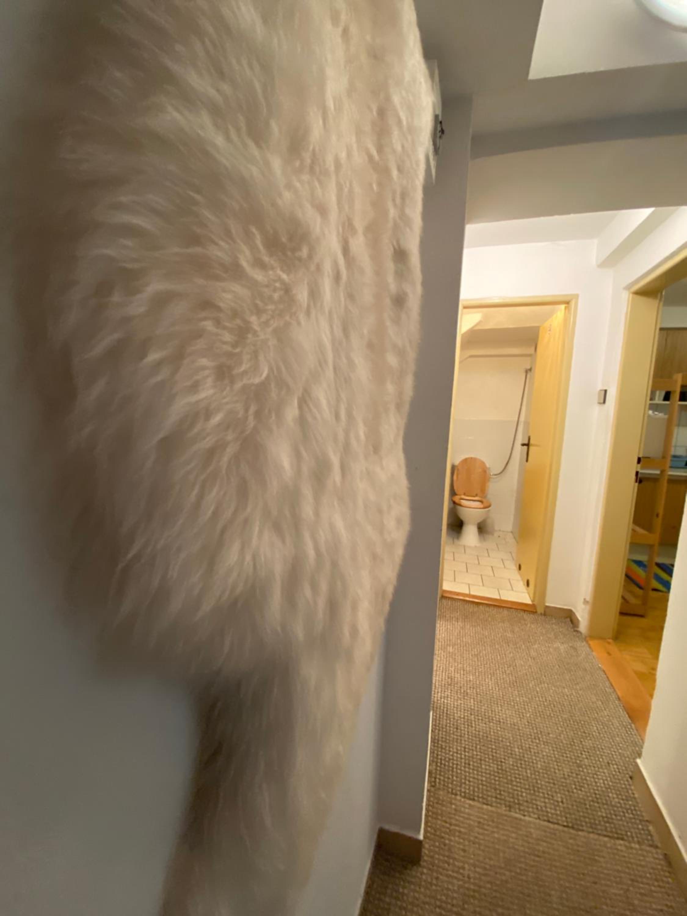 Samostatný apartmán se zahradou