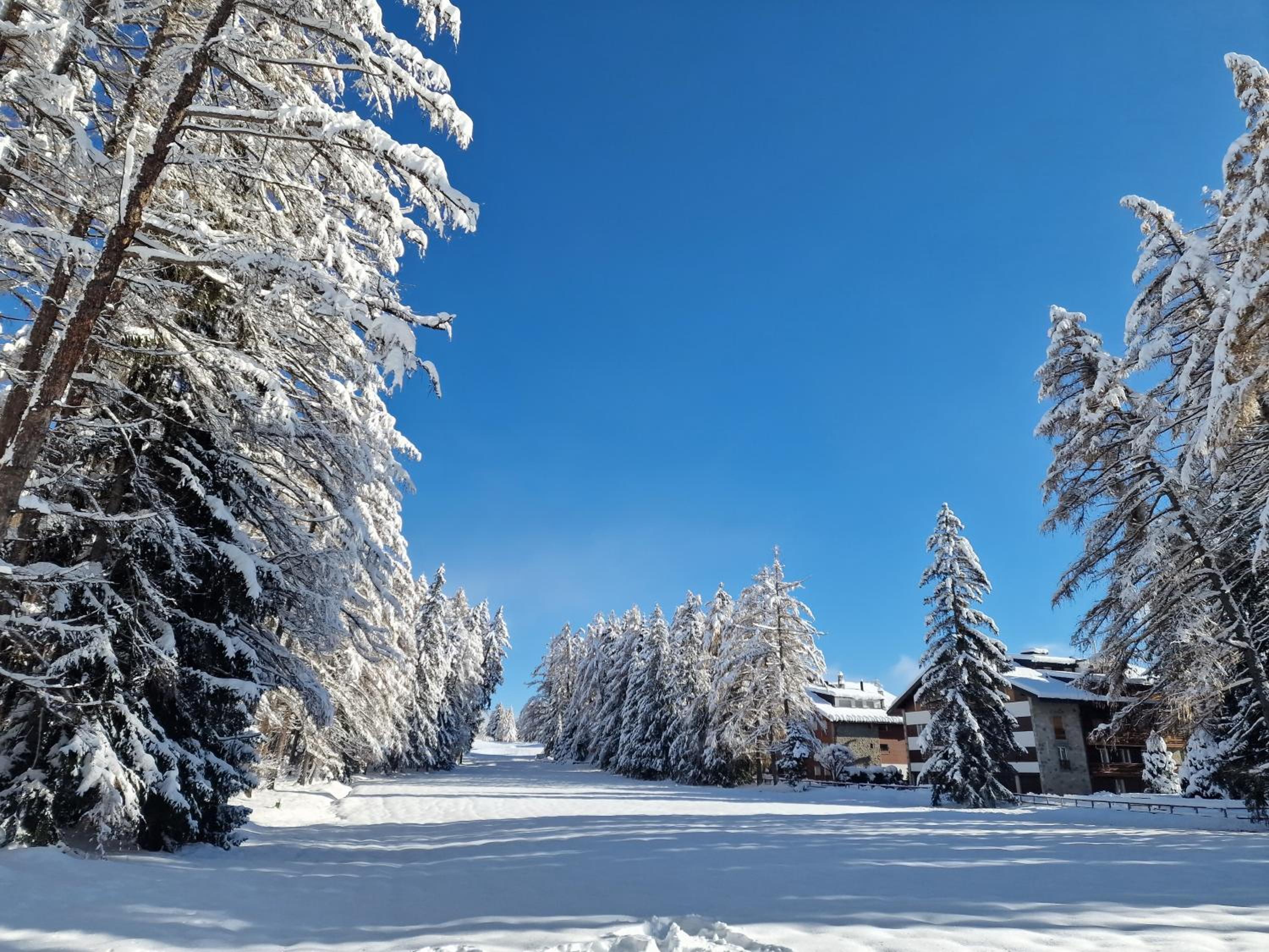 Studio Le Carnotzet Tchiko minimum 2 nights Special weekly and monthly prices