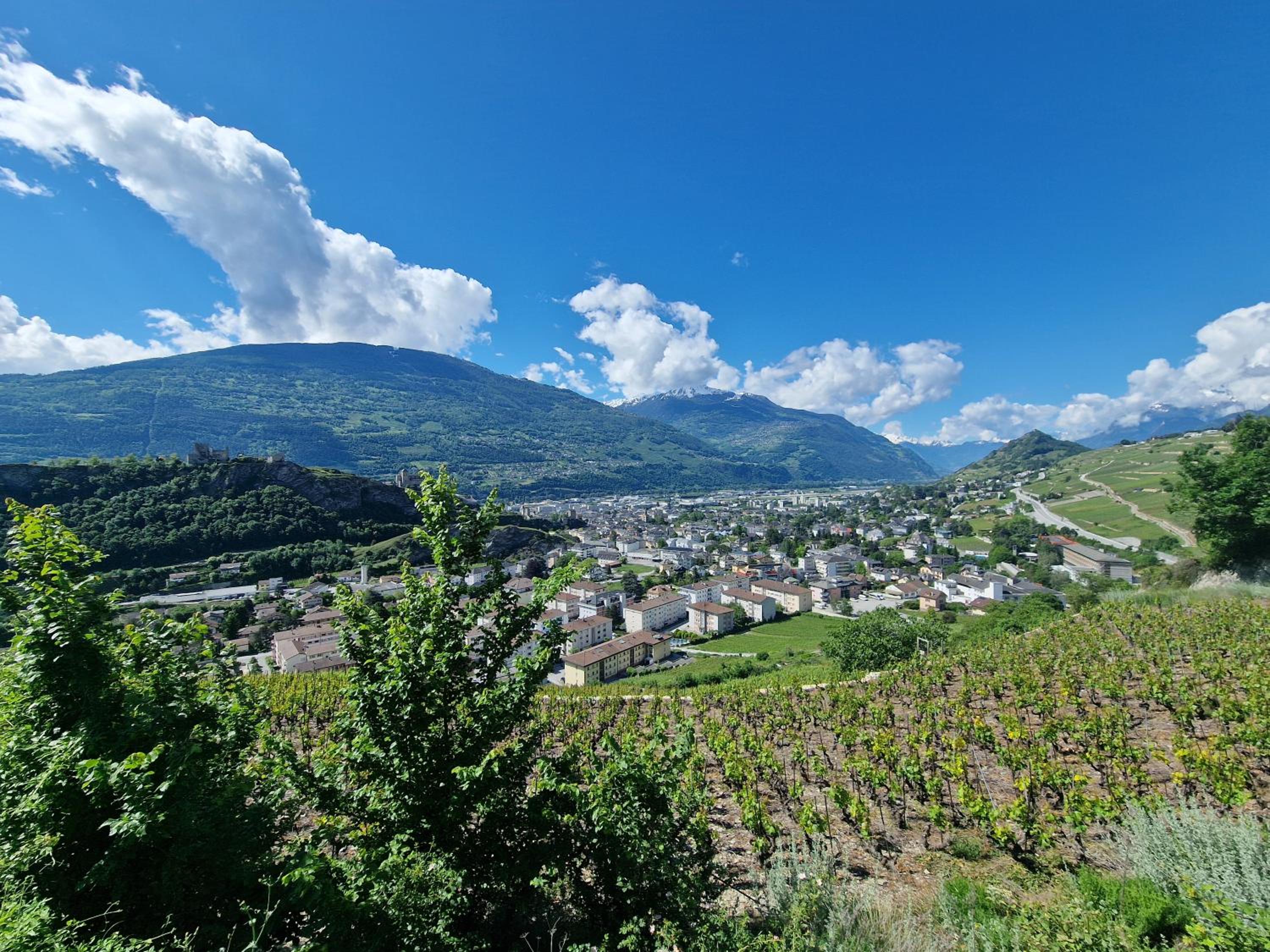 Studio Le Carnotzet Tchiko minimum 2 nights Special weekly and monthly prices