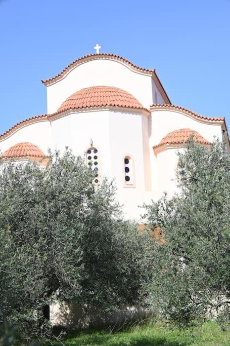 Anezina Cretan hospitality