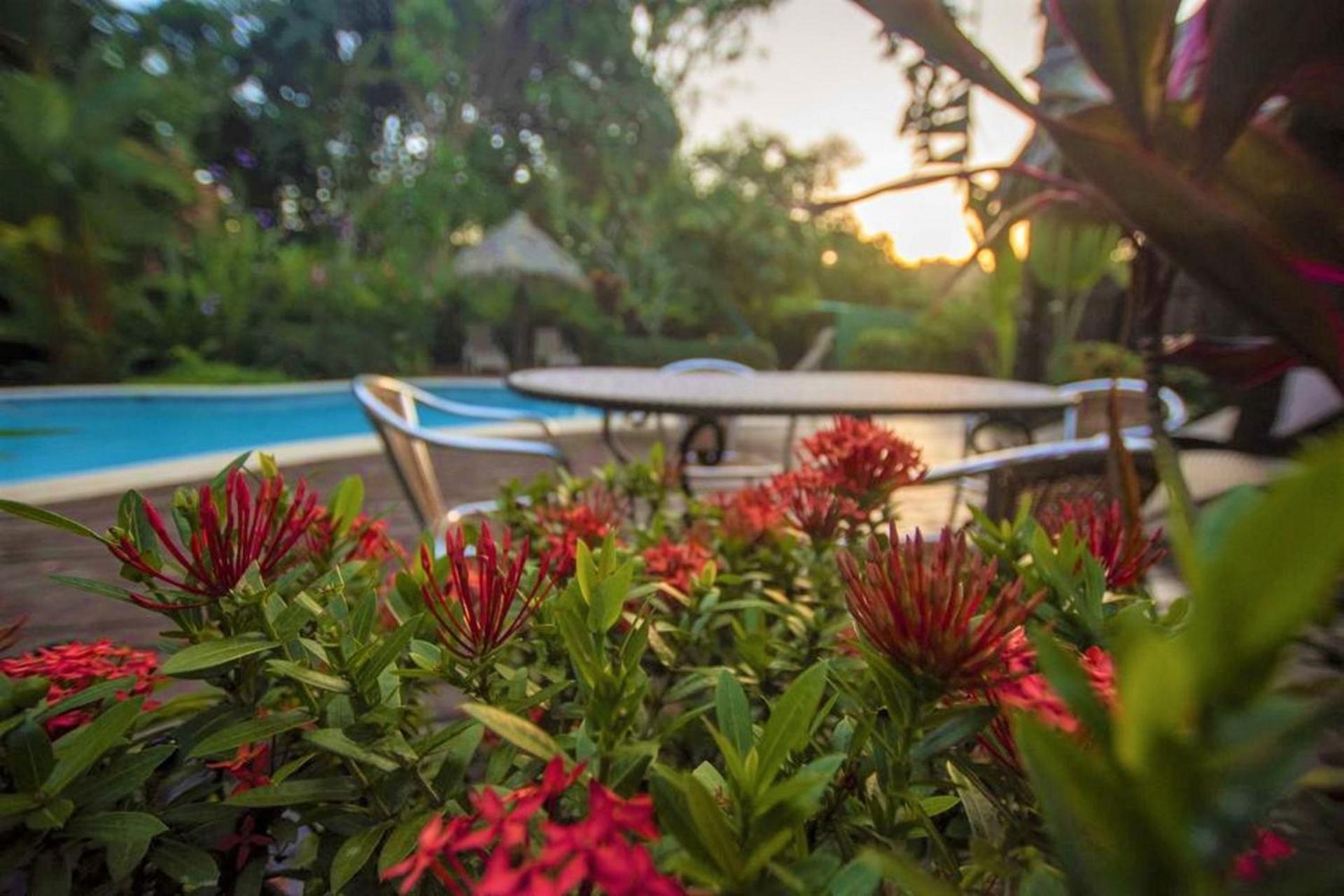 La Casa del Mango Pool Ocean Mountain Views