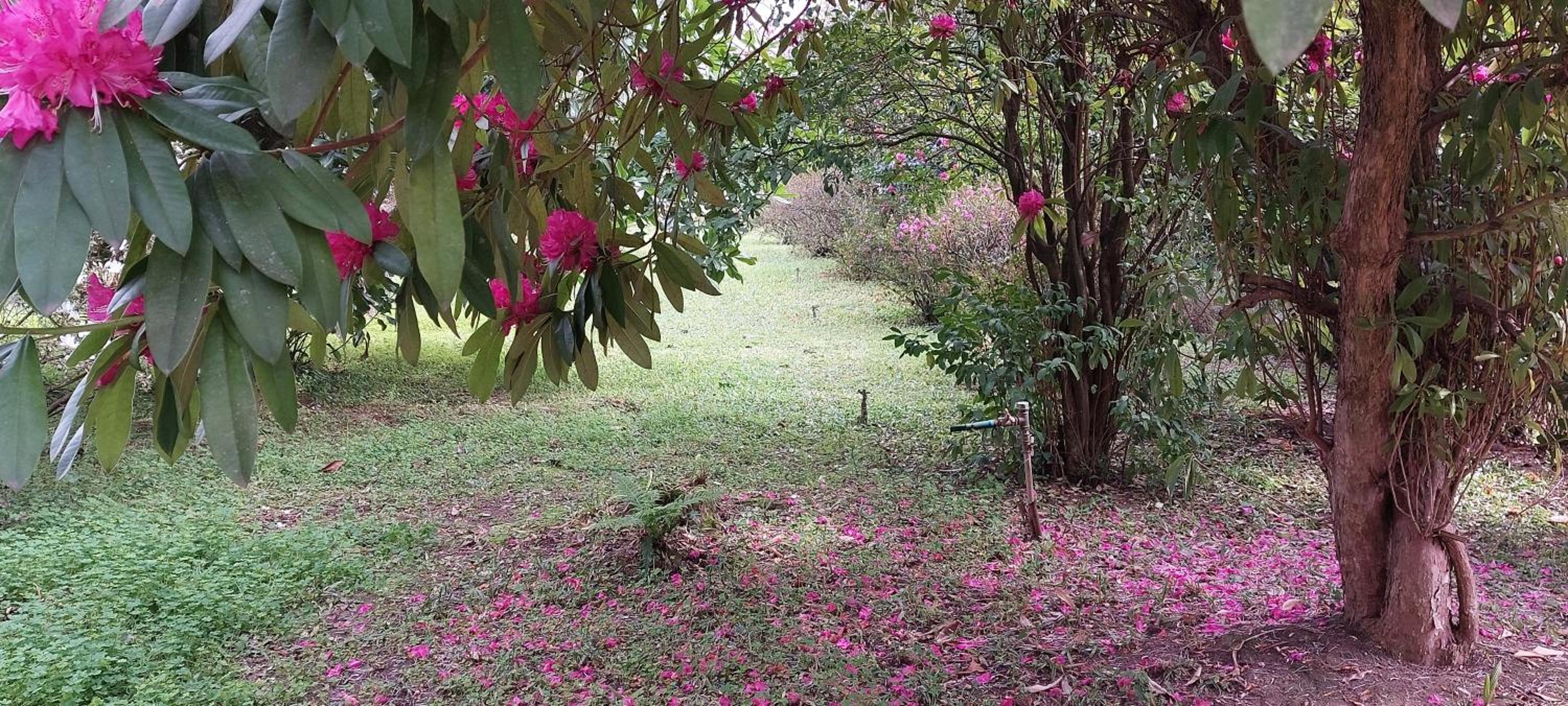 Quinta D'Avó Amélia en Alquerubim