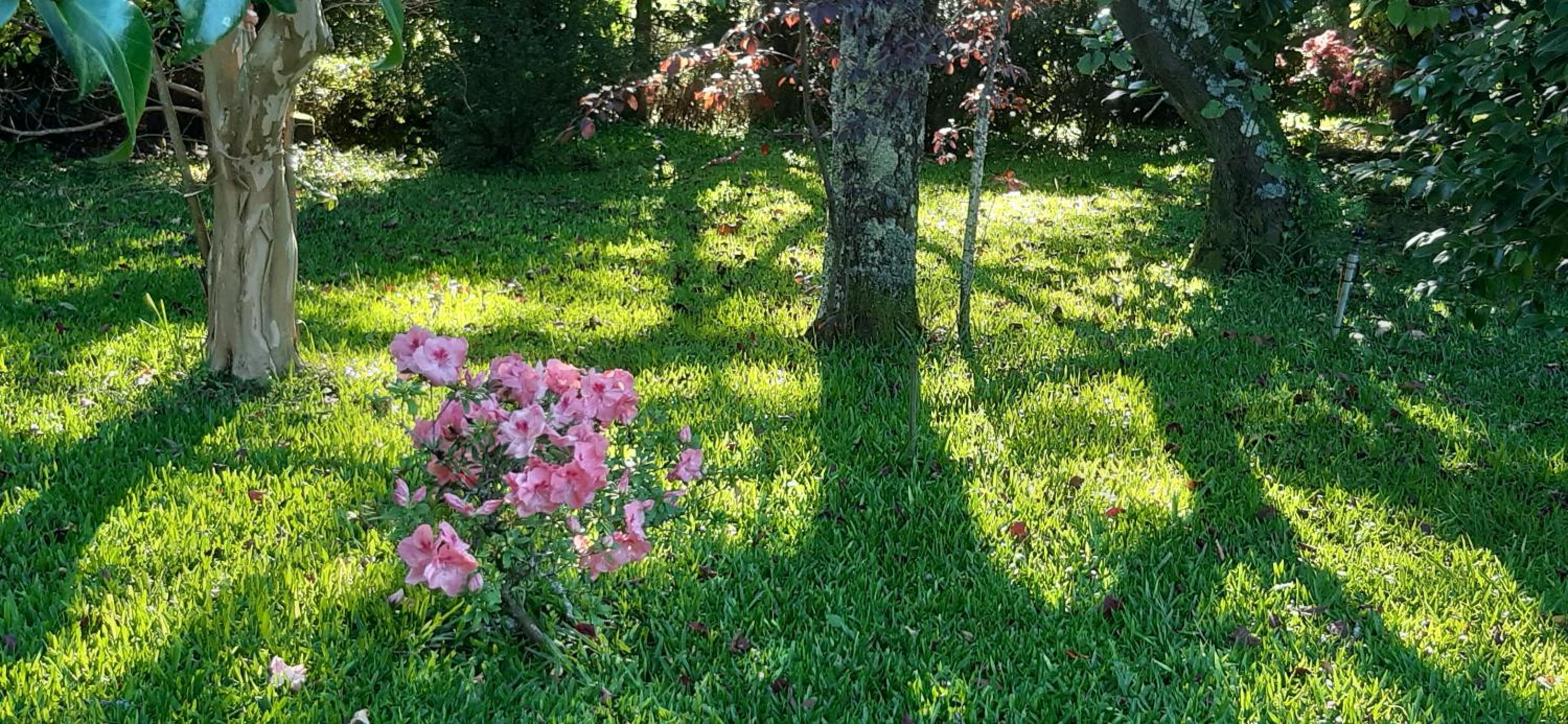 Quinta D'Avó Amélia