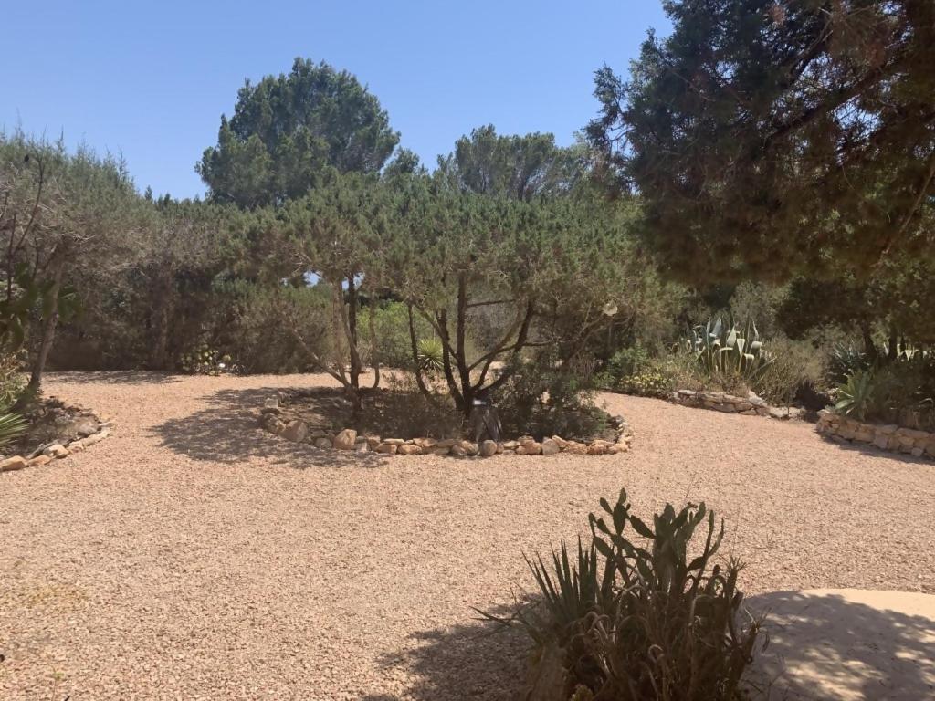 Casa Goro Formentera view 5