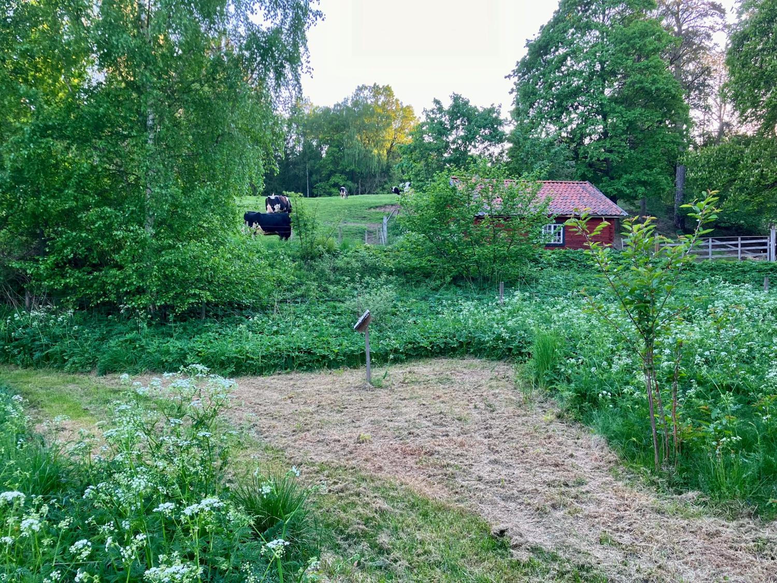 Photo 66