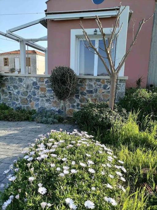 Modern house by the sea view 2
