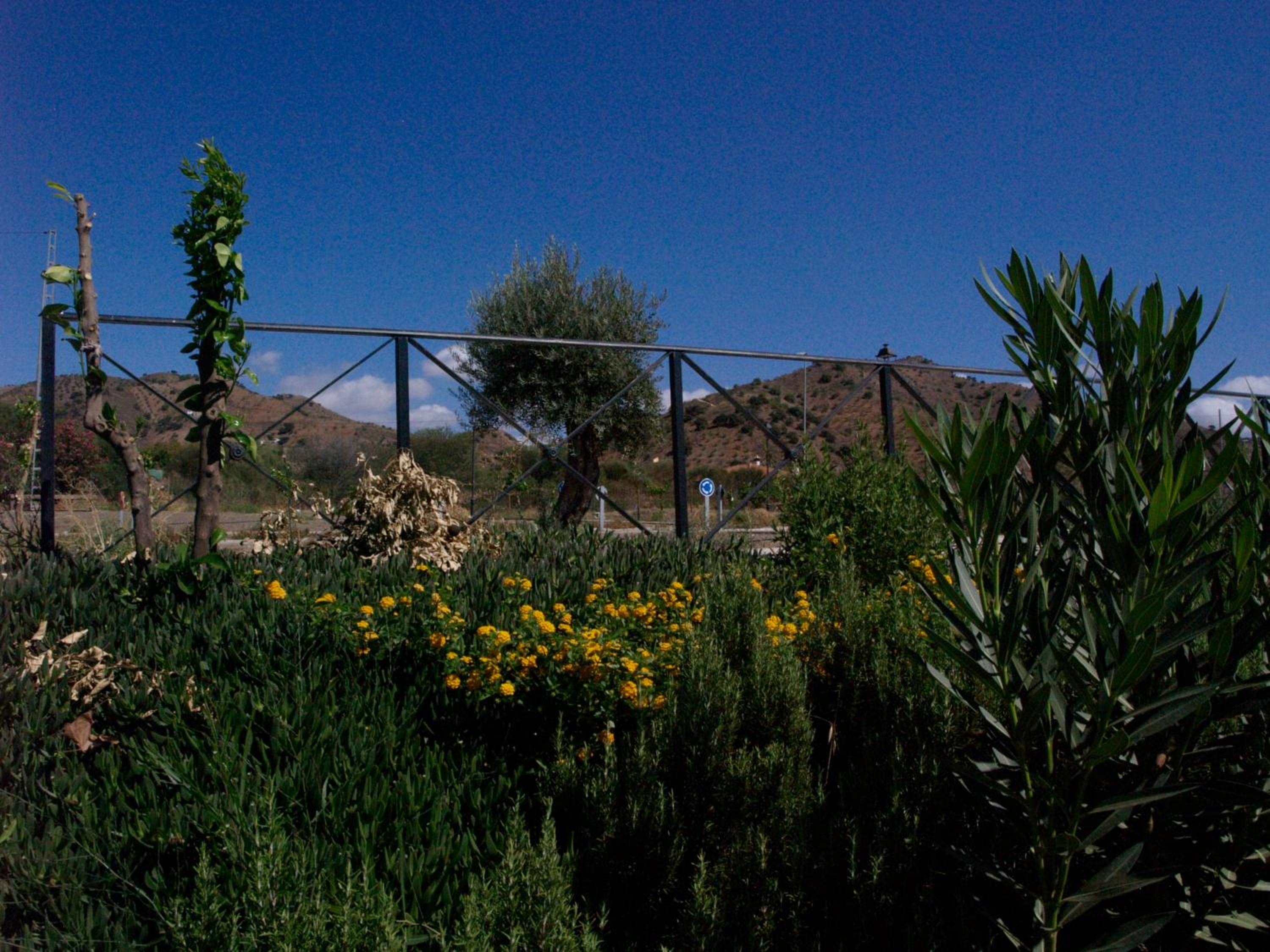 Hostal la Molina