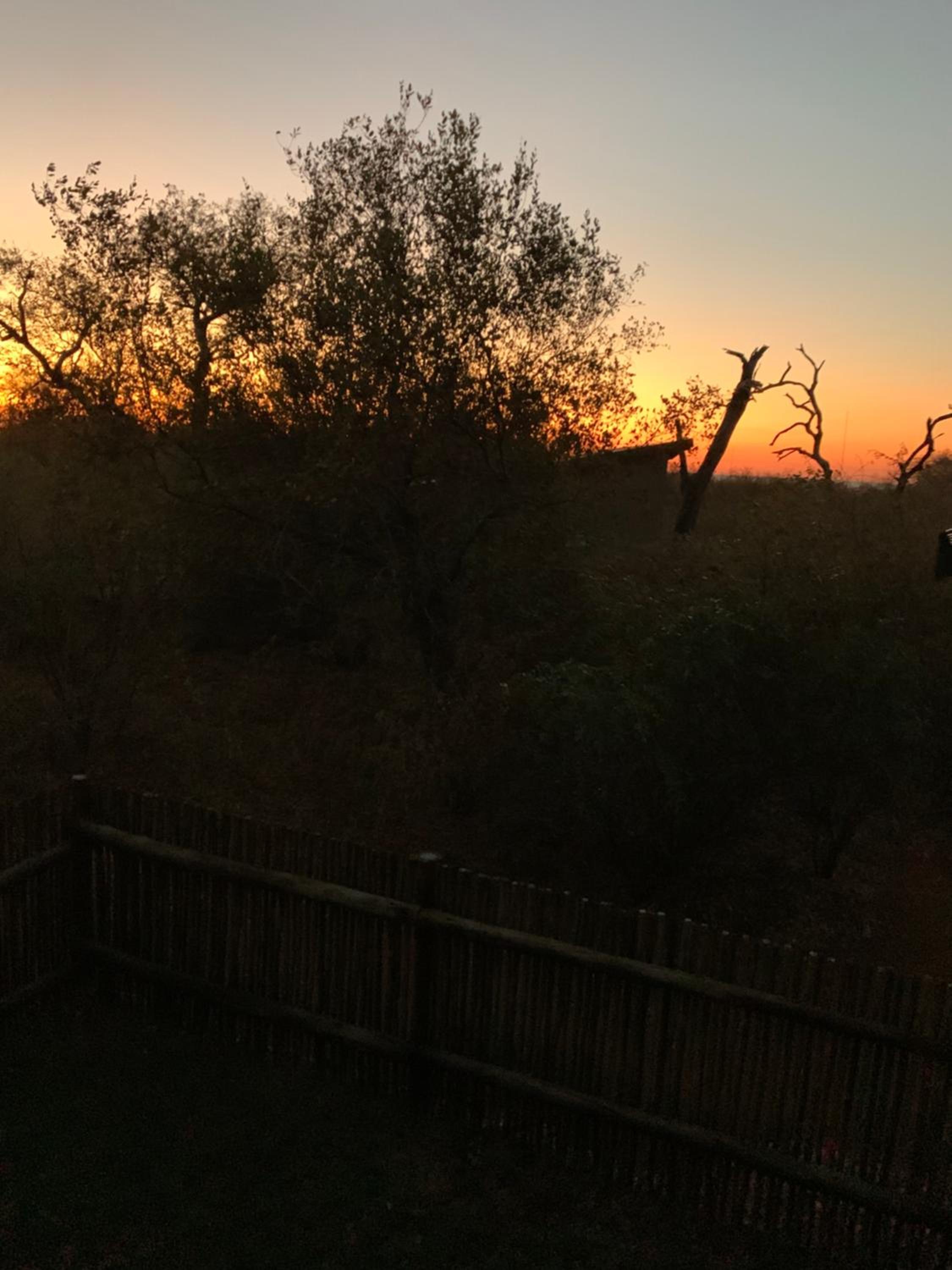 Rooibos Luxury Bush Cottage