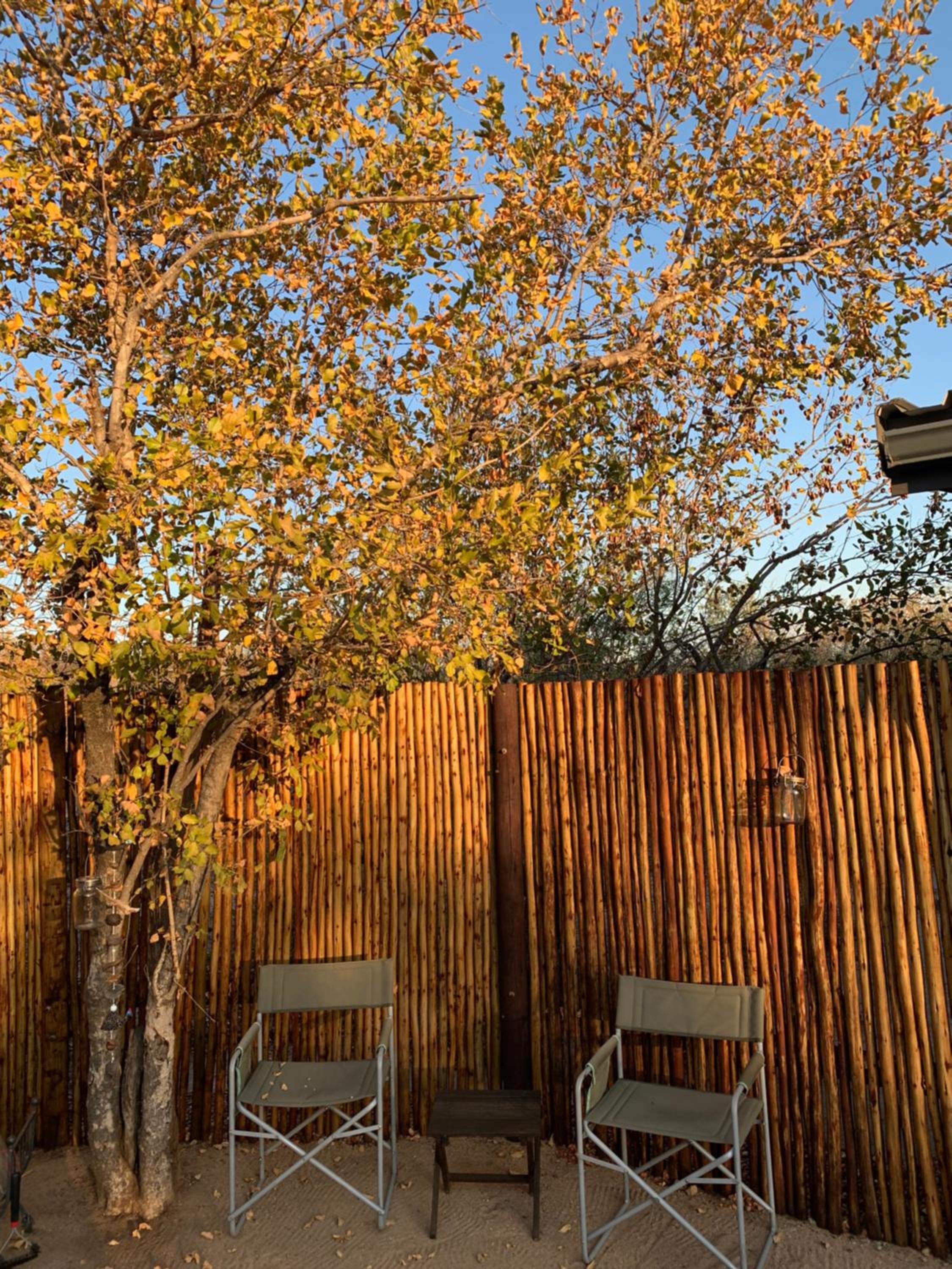 Rooibos Luxury Bush Cottage