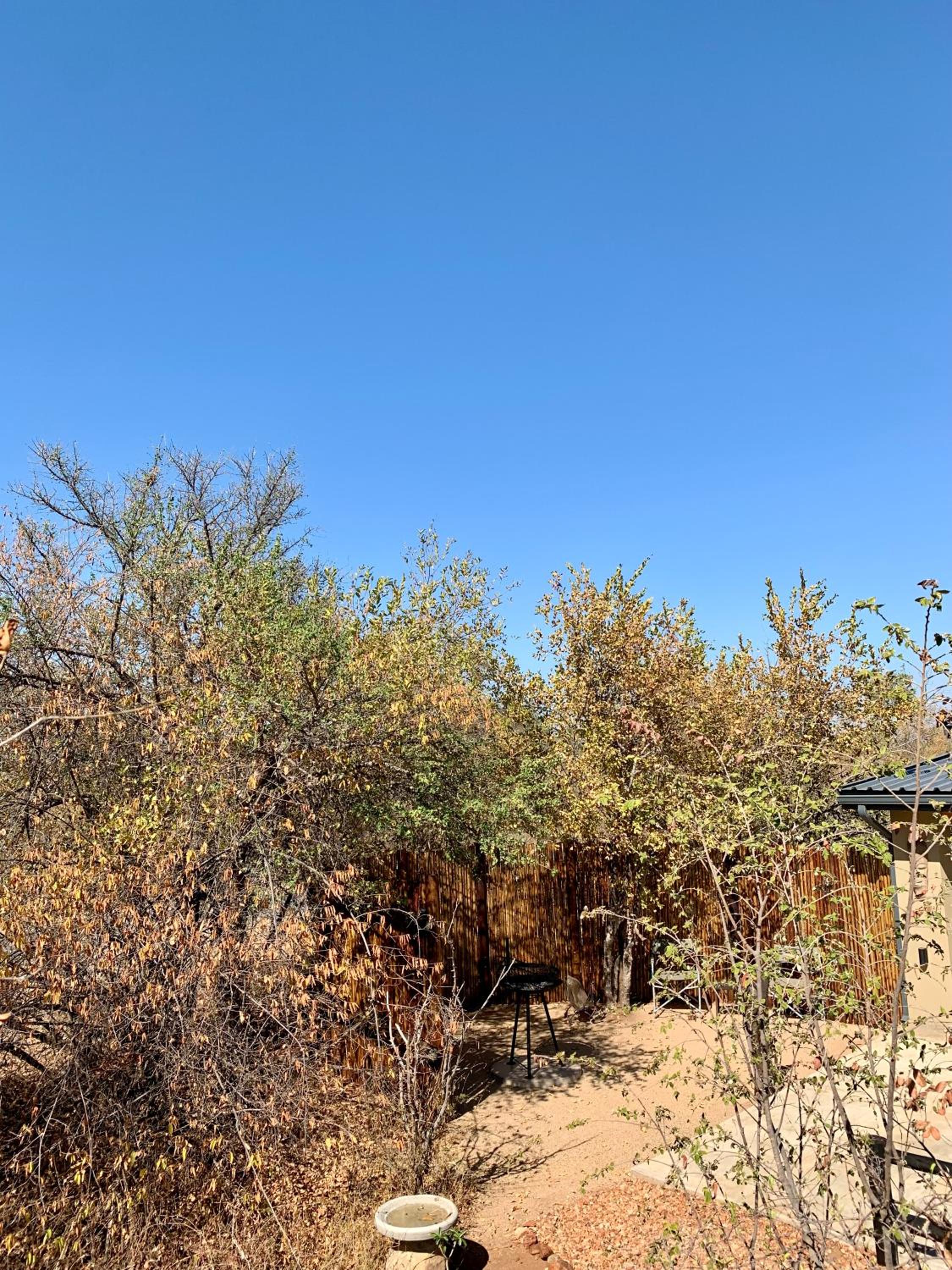 Rooibos Luxury Bush Cottage