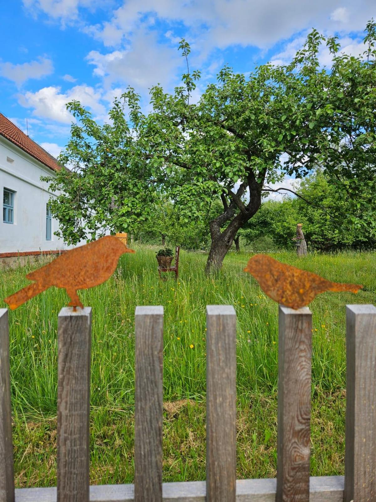 Statek u Benešů