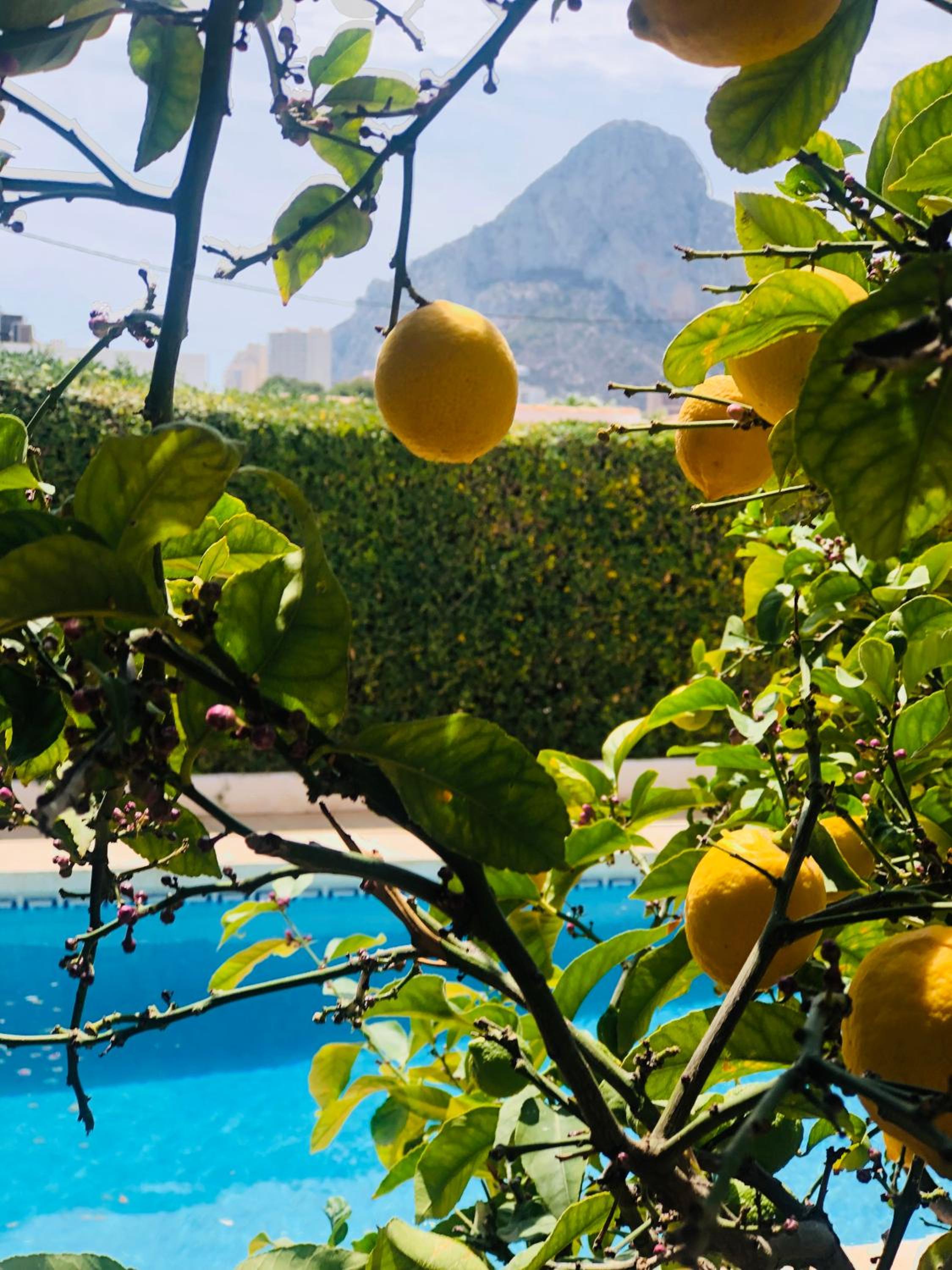 Casa soleada en Calpe
