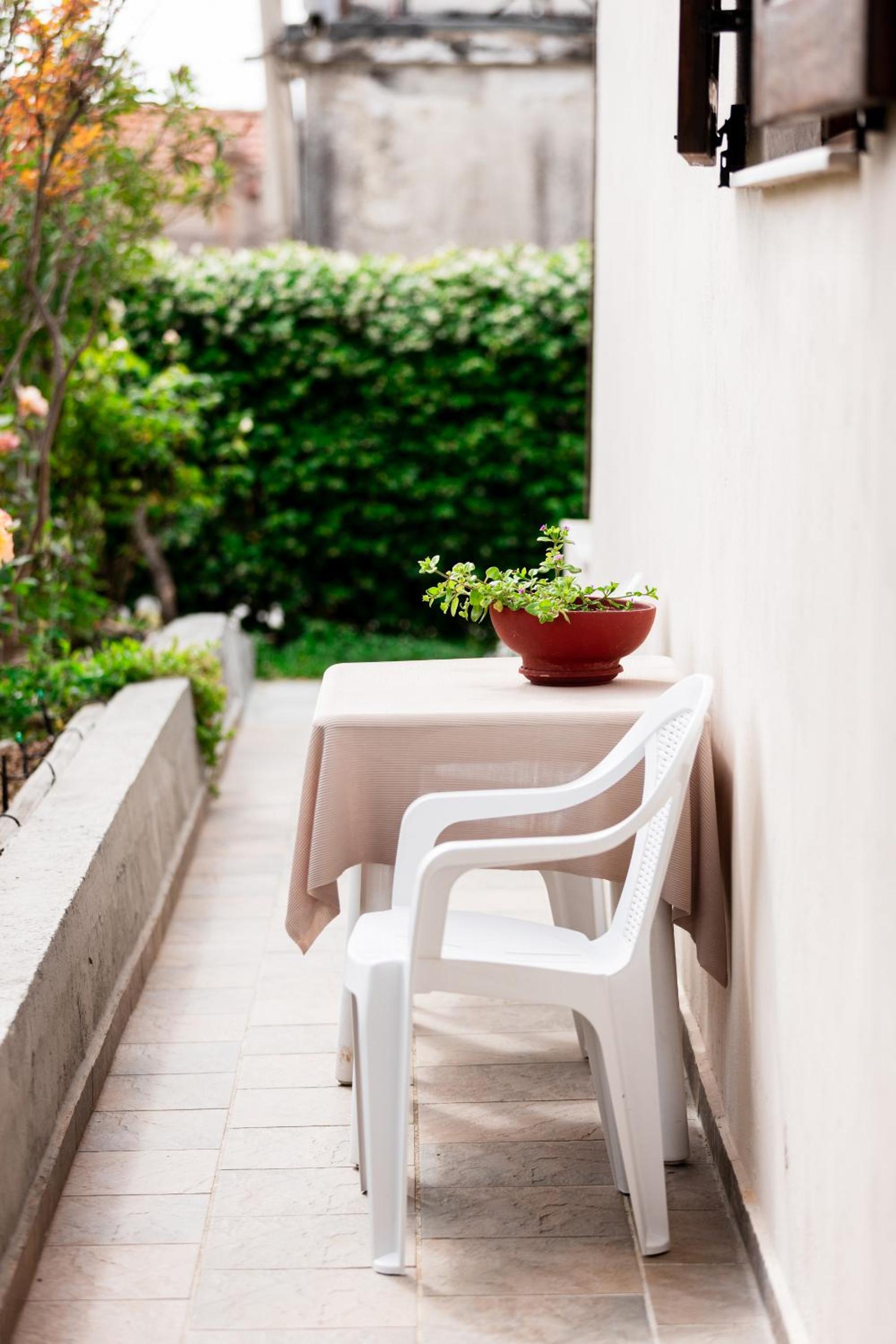 Zeusplace Red Roses Traditional House view 5