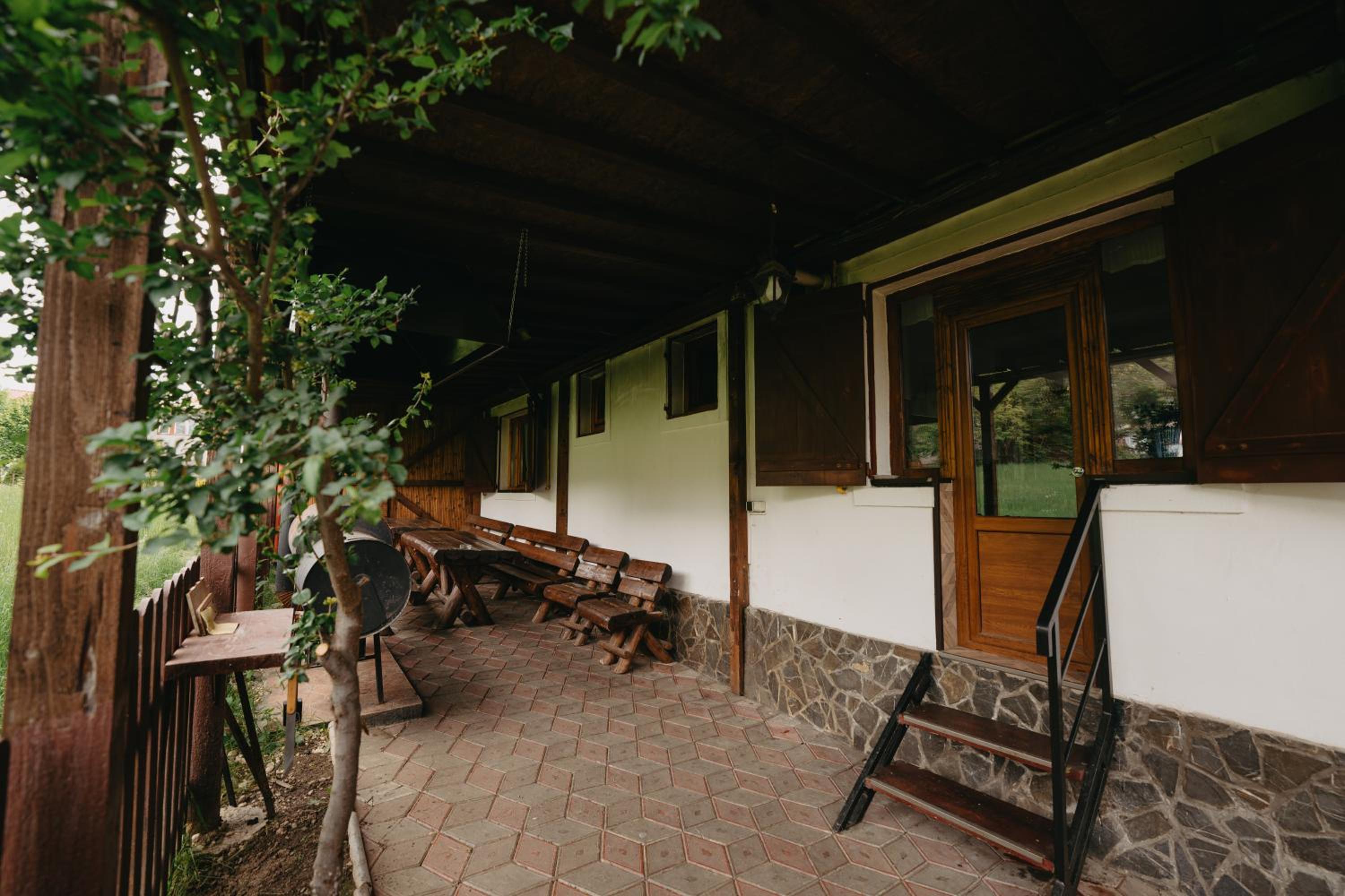 Villa Forrest Bușteni view 4