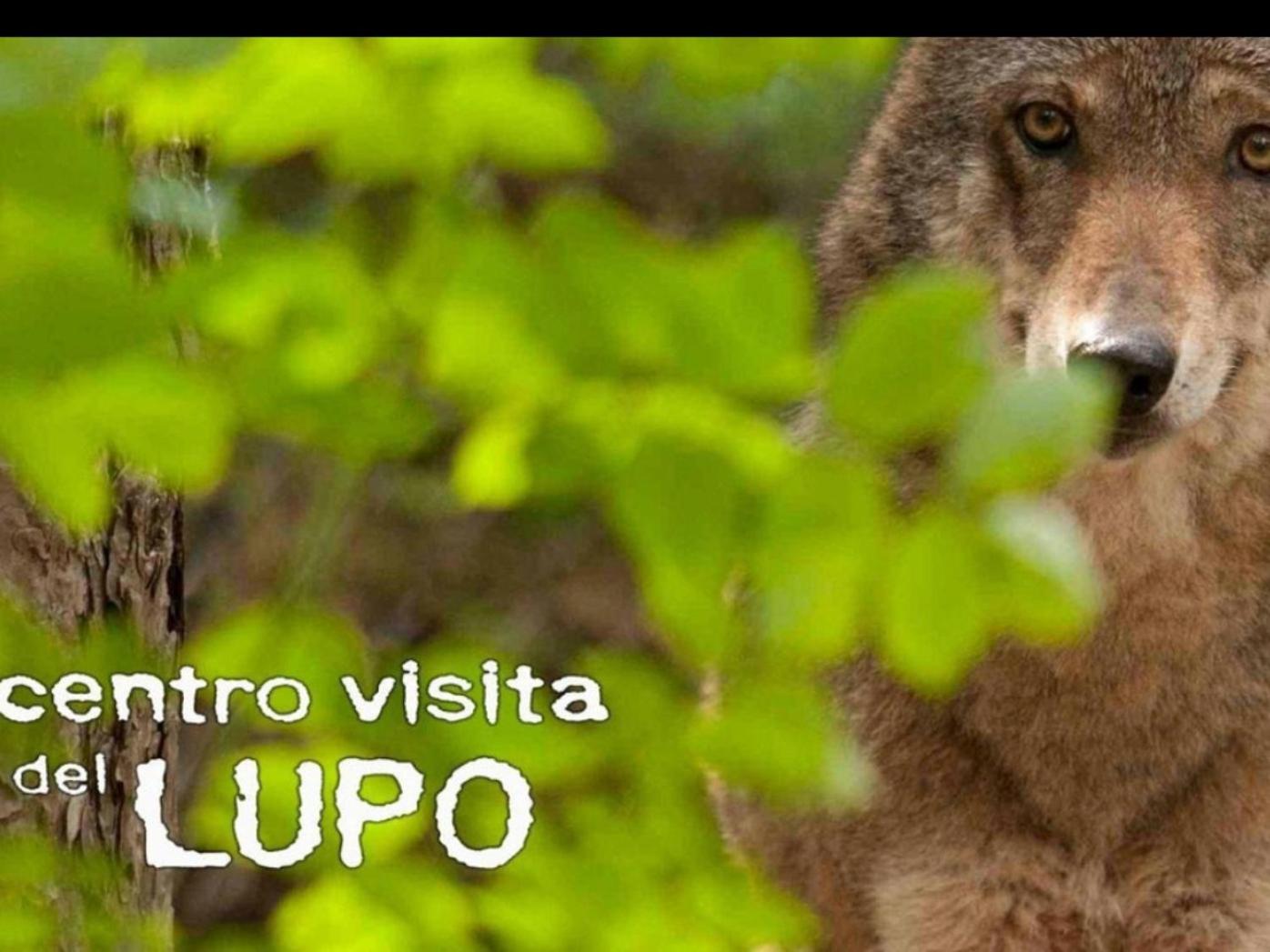 Appartamento inCentro