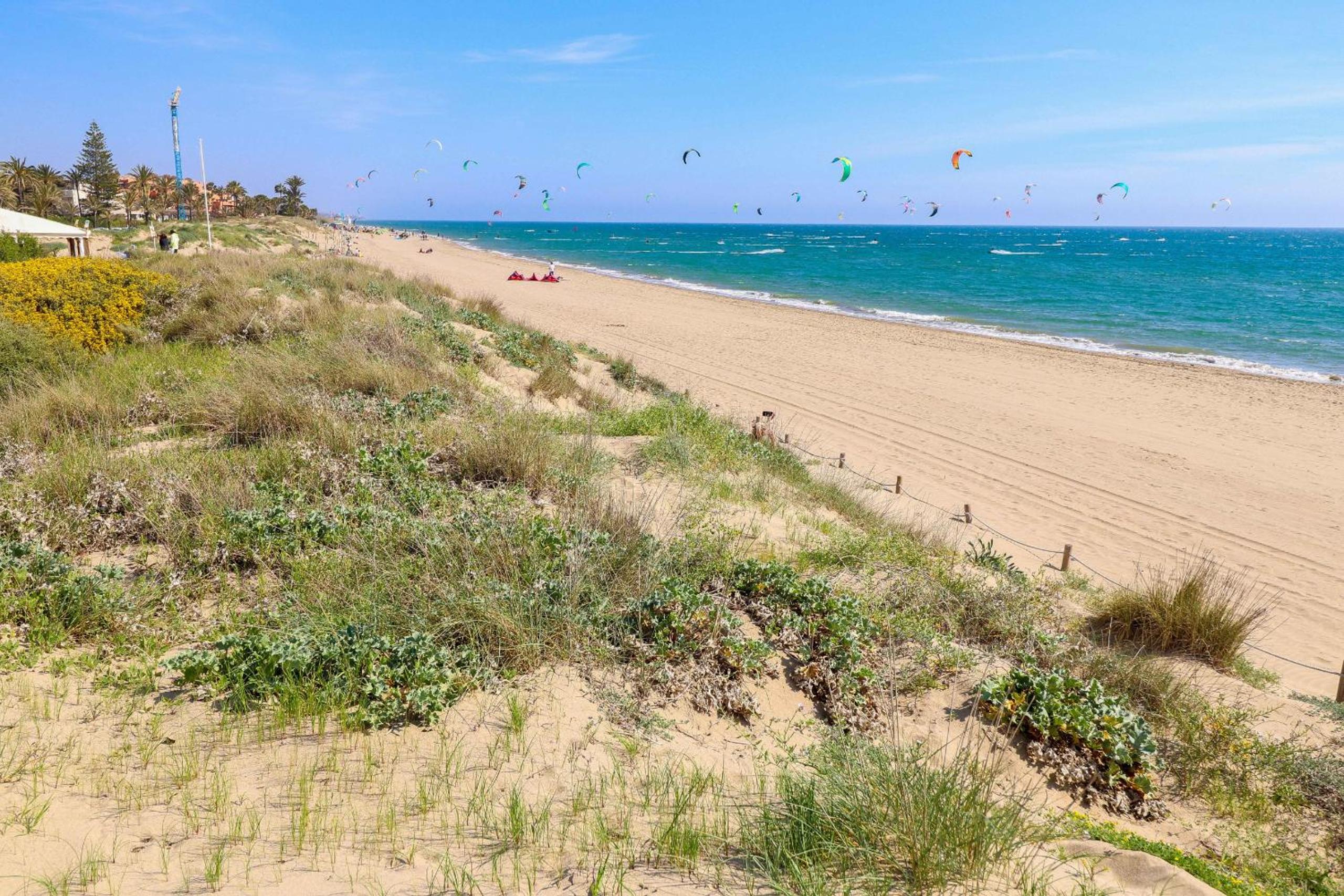 Frontline beach apartment -Los Monteros Palm Beach