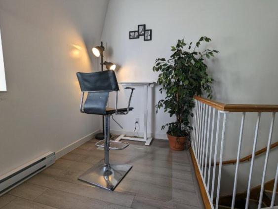 2 Bedrooms, 1 Sofa bed and 1,5 Bathrooms, Renovated Apartment in the Heart of Plateau Mont-Royal