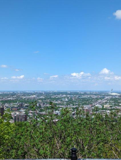 2 Bedrooms, 1 Sofa bed and 1,5 Bathrooms, Renovated Apartment in the Heart of Plateau Mont-Royal