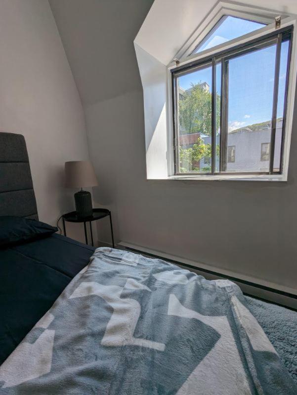 2 Bedrooms, 1 Sofa bed and 1,5 Bathrooms, Renovated Apartment in the Heart of Plateau Mont-Royal