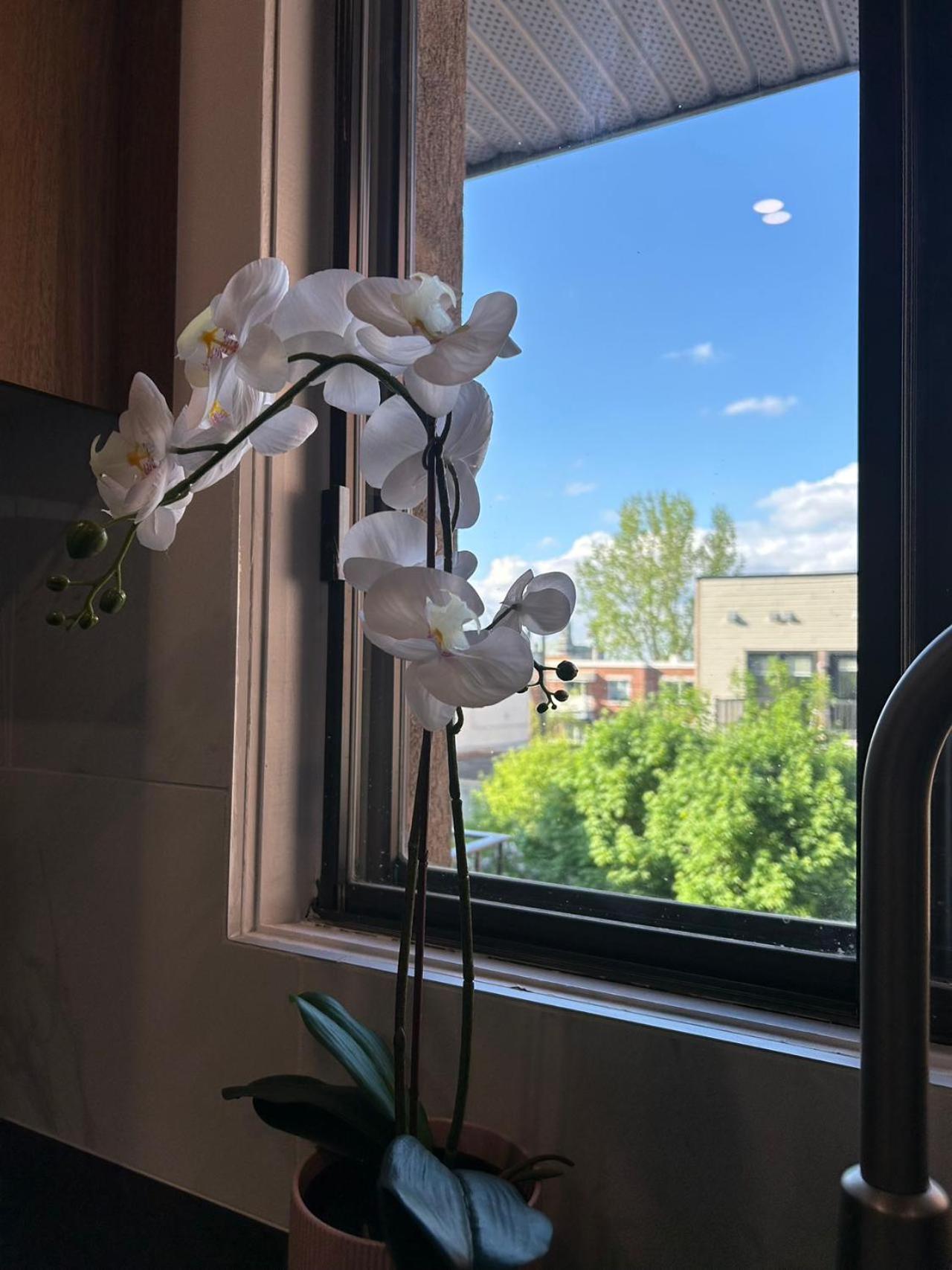 2 Bedrooms, 1 Sofa bed and 1,5 Bathrooms, Renovated Apartment in the Heart of Plateau Mont-Royal