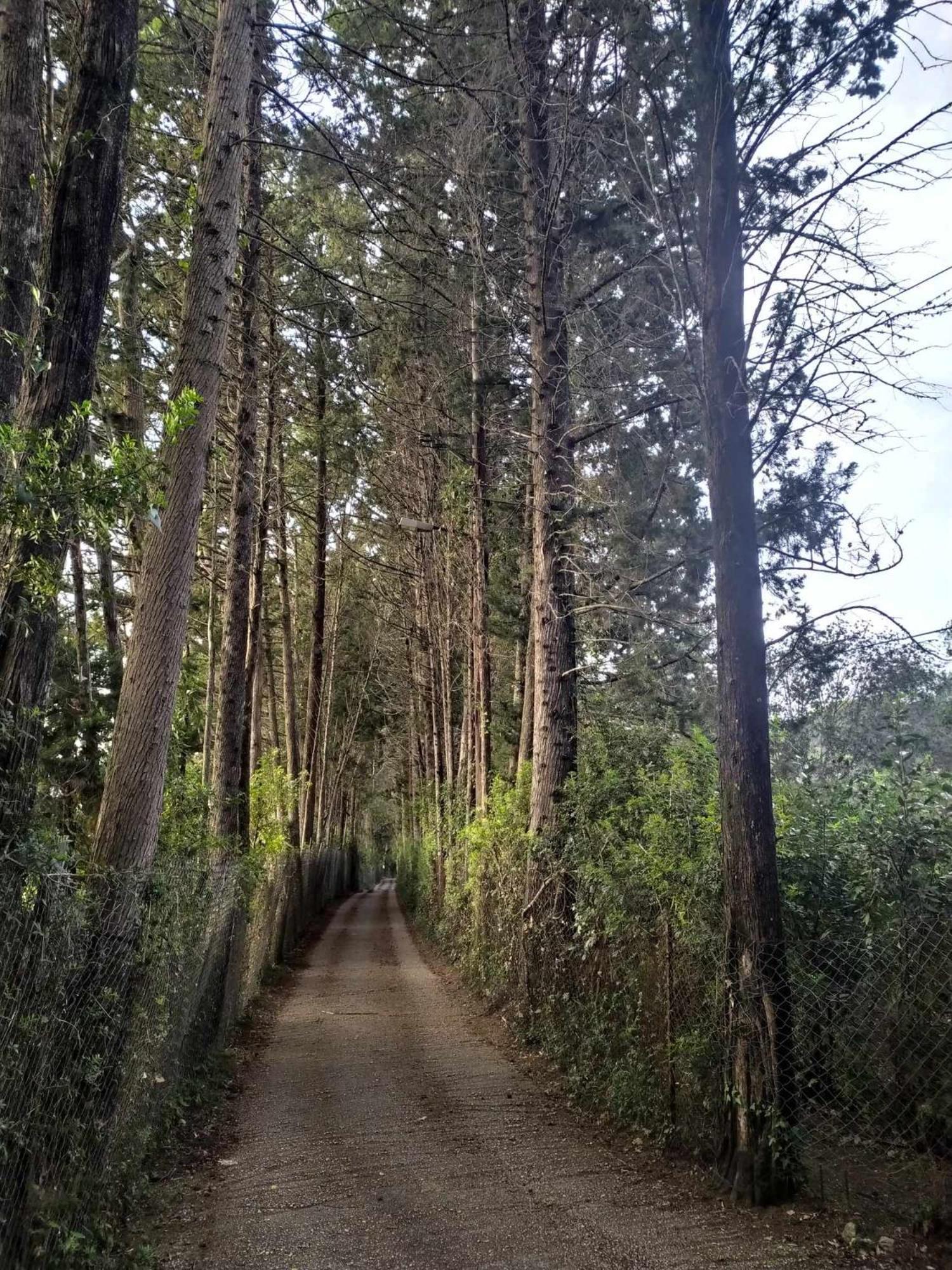 Photo 49
