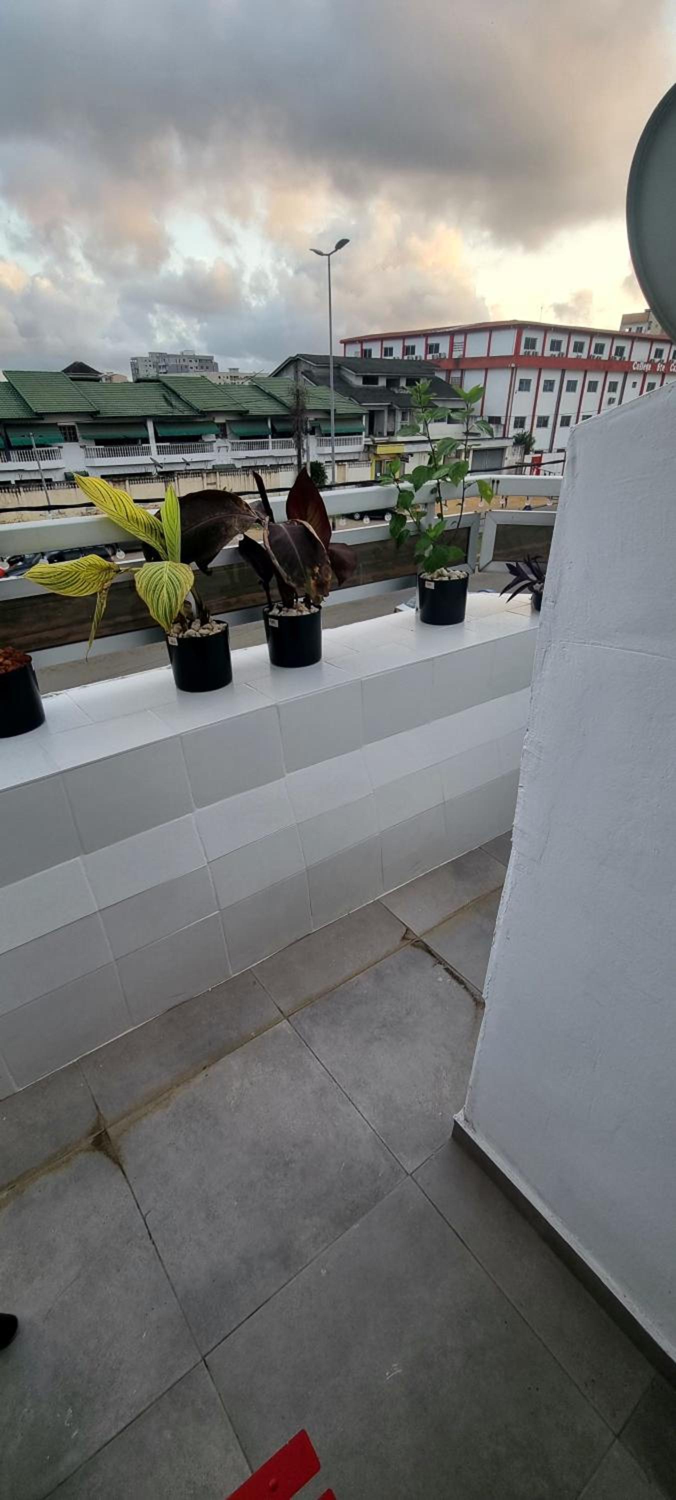 roof