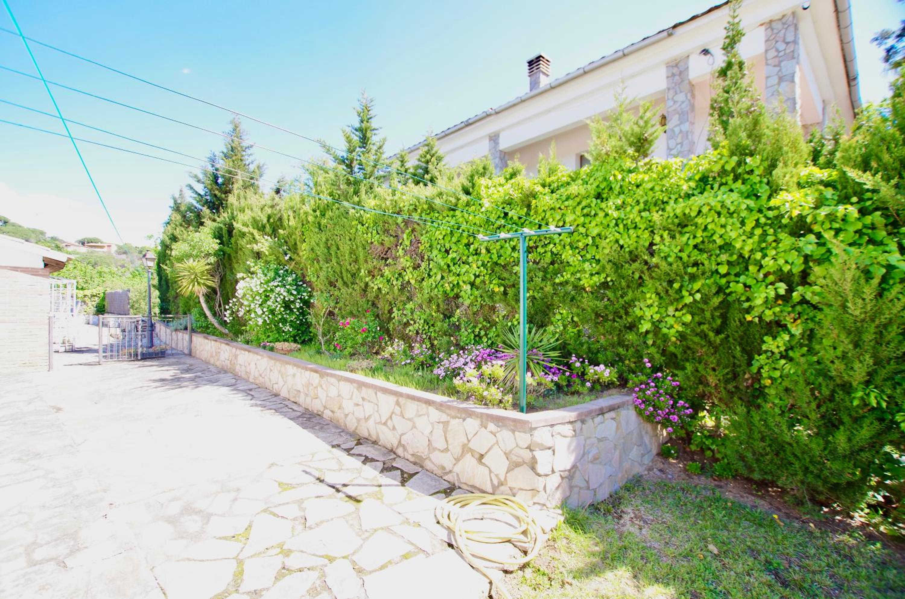 Photo 45