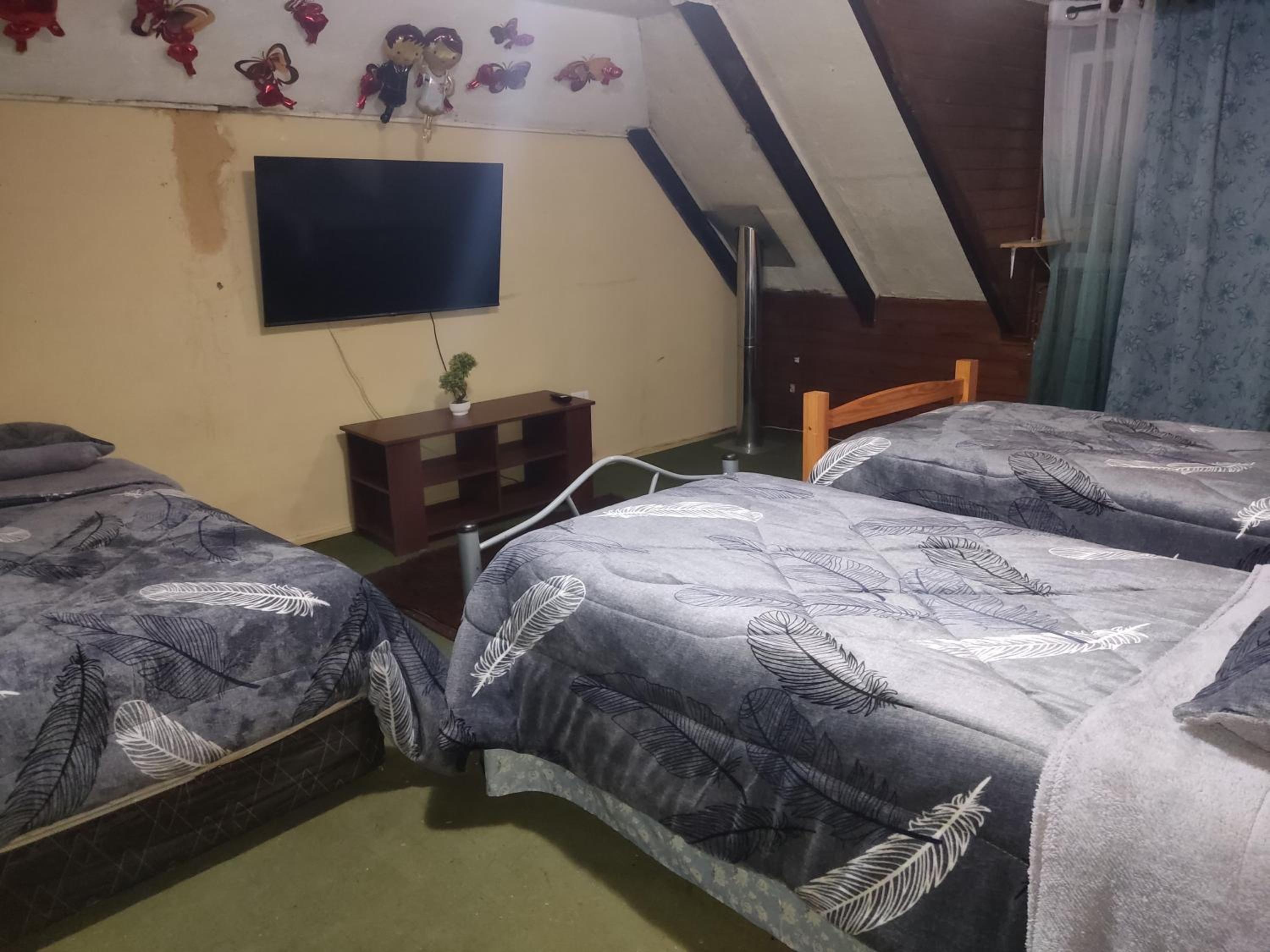 Hostal NF rocket