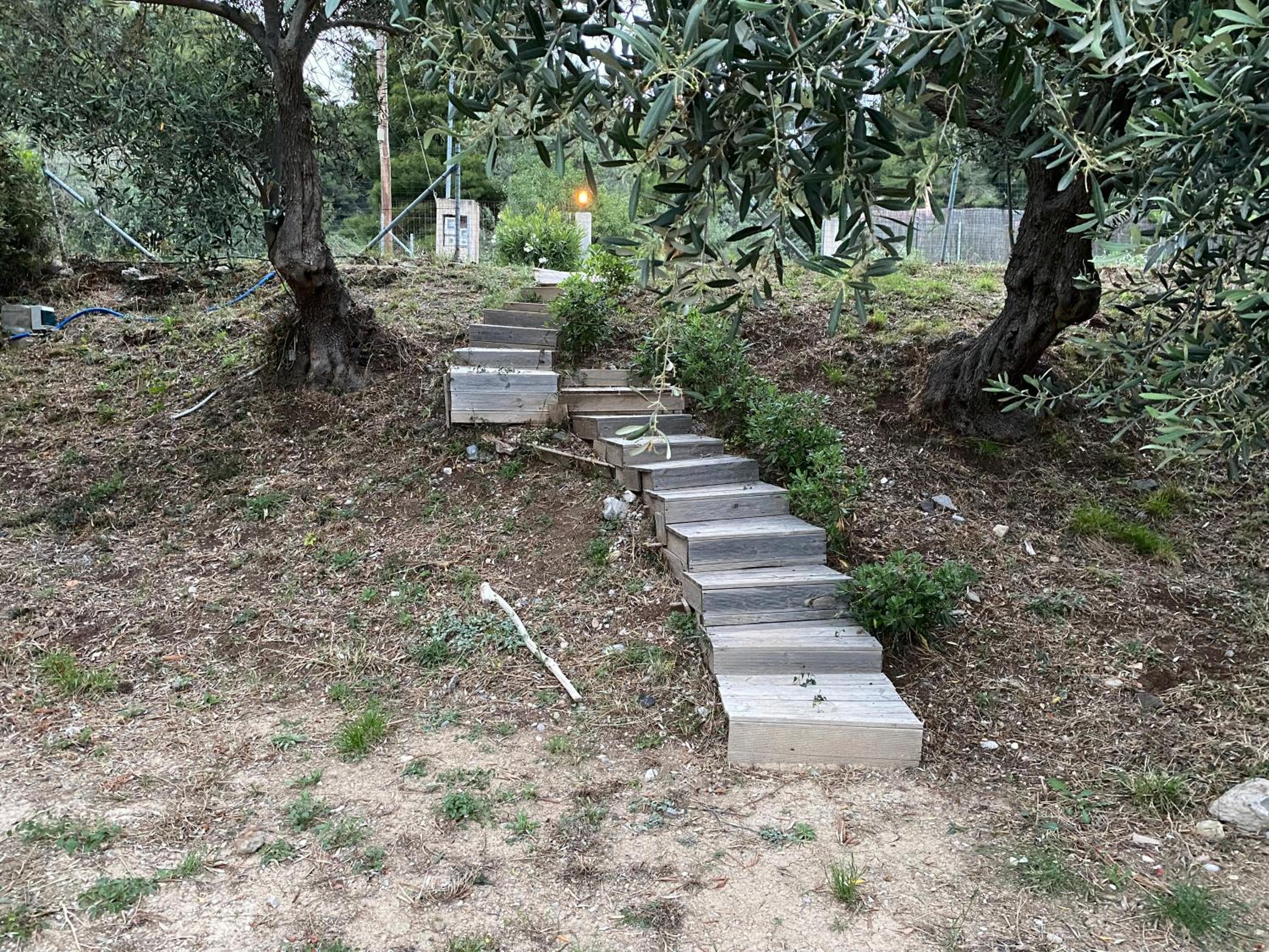 Askalosia villa
