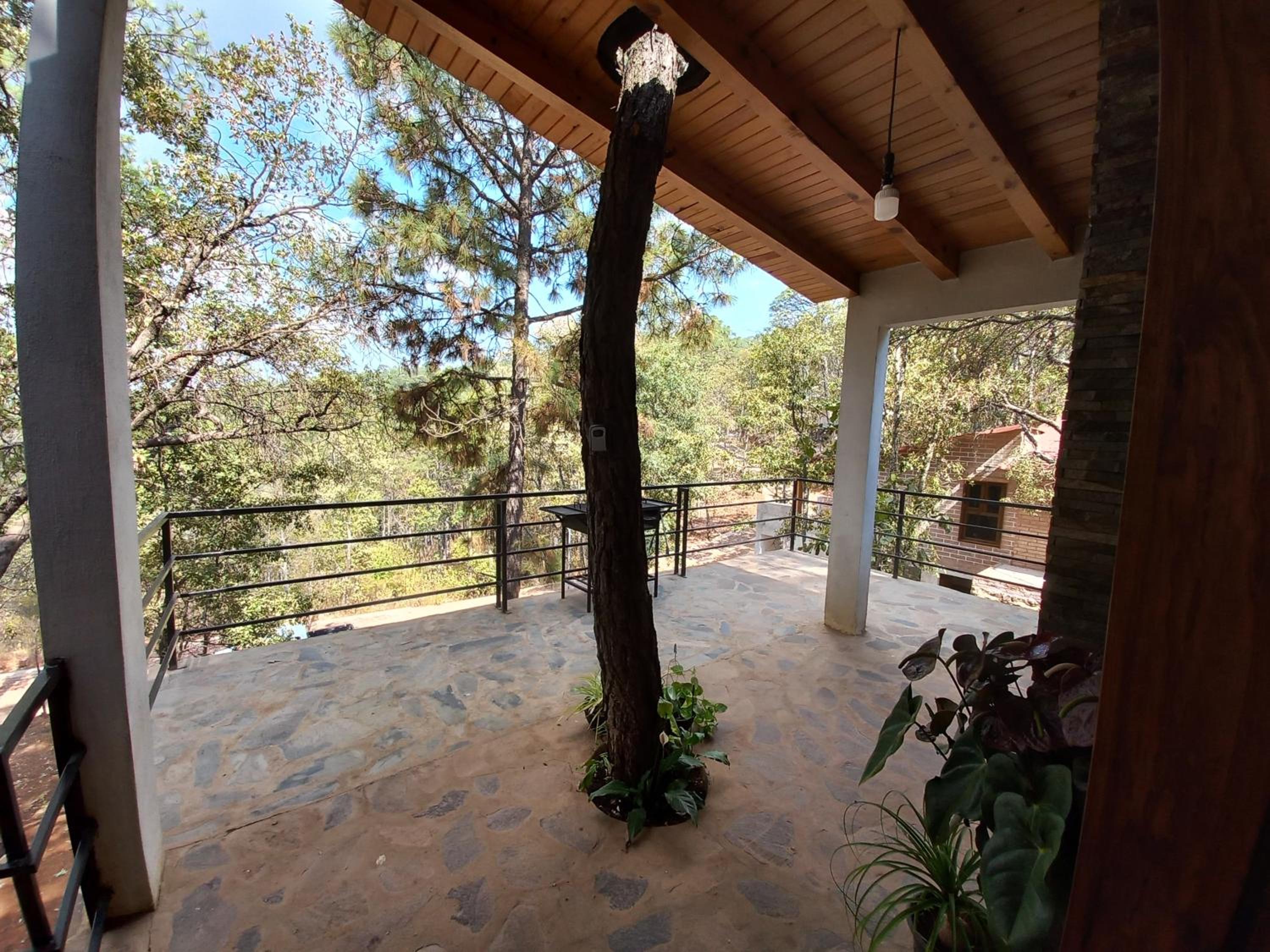 Cabaña "Alexa", en el corazón del bosque de Mazamitla
