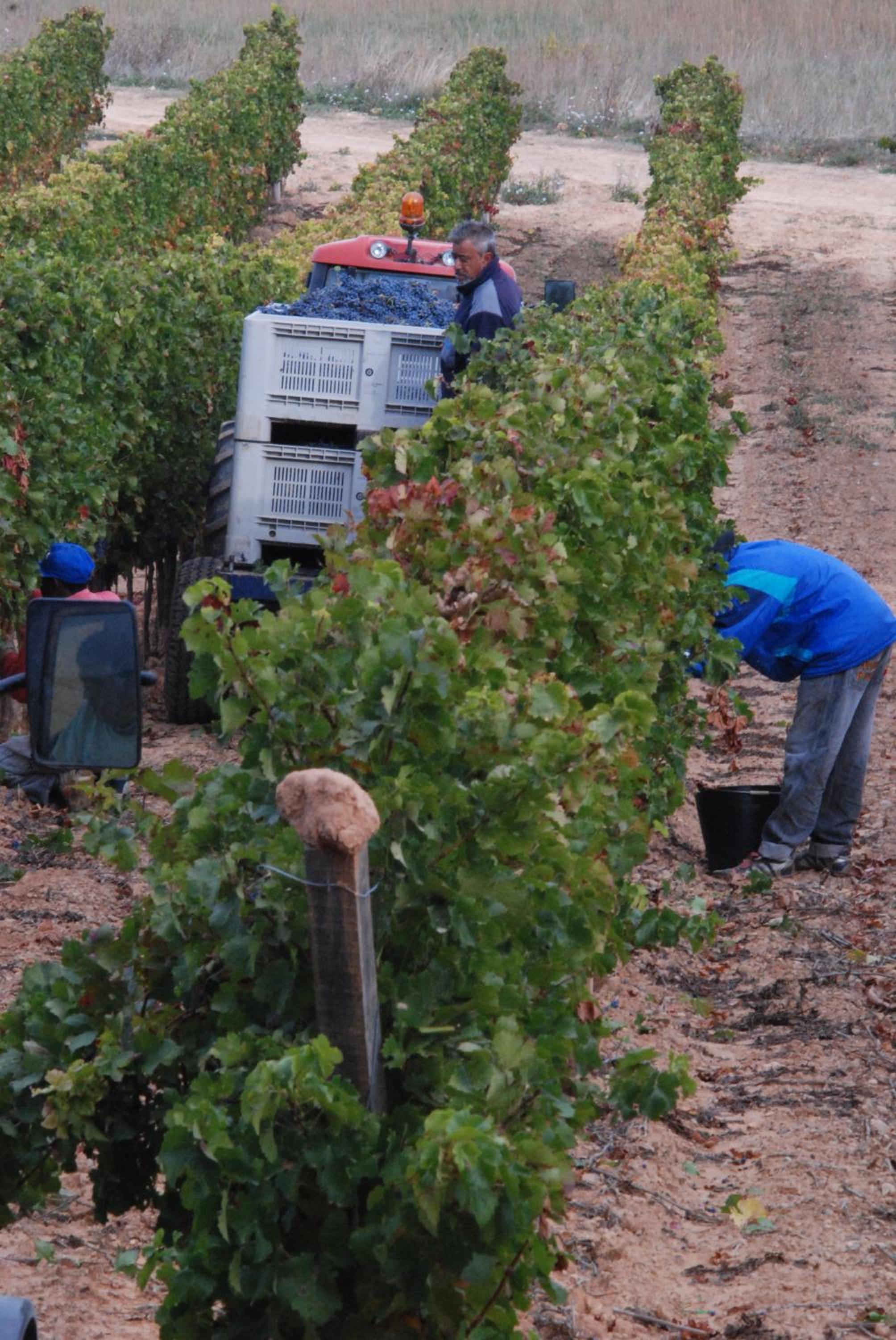 Vilosell Wine Hotel
