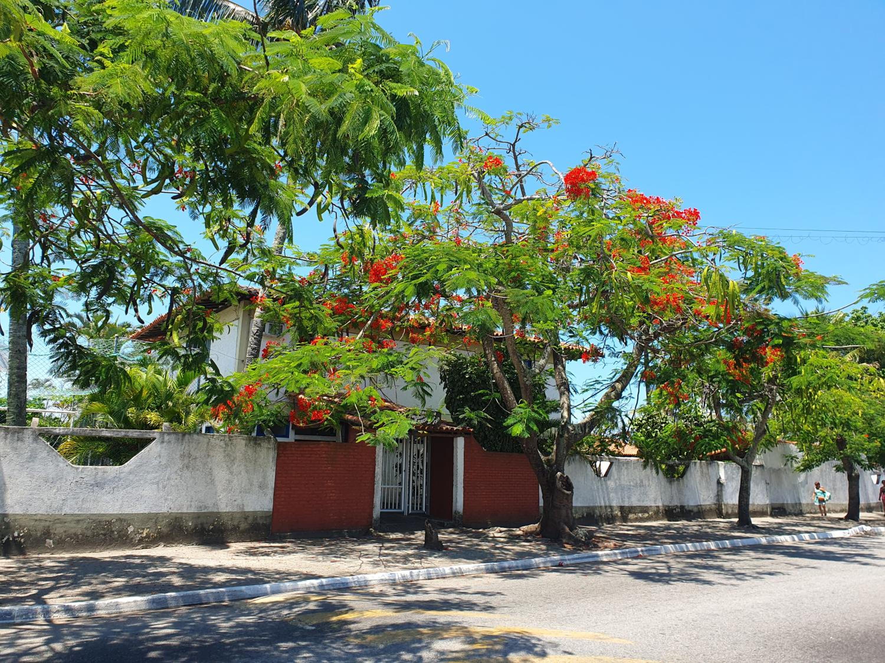 Apartamento Bangalo Cabo Frio
