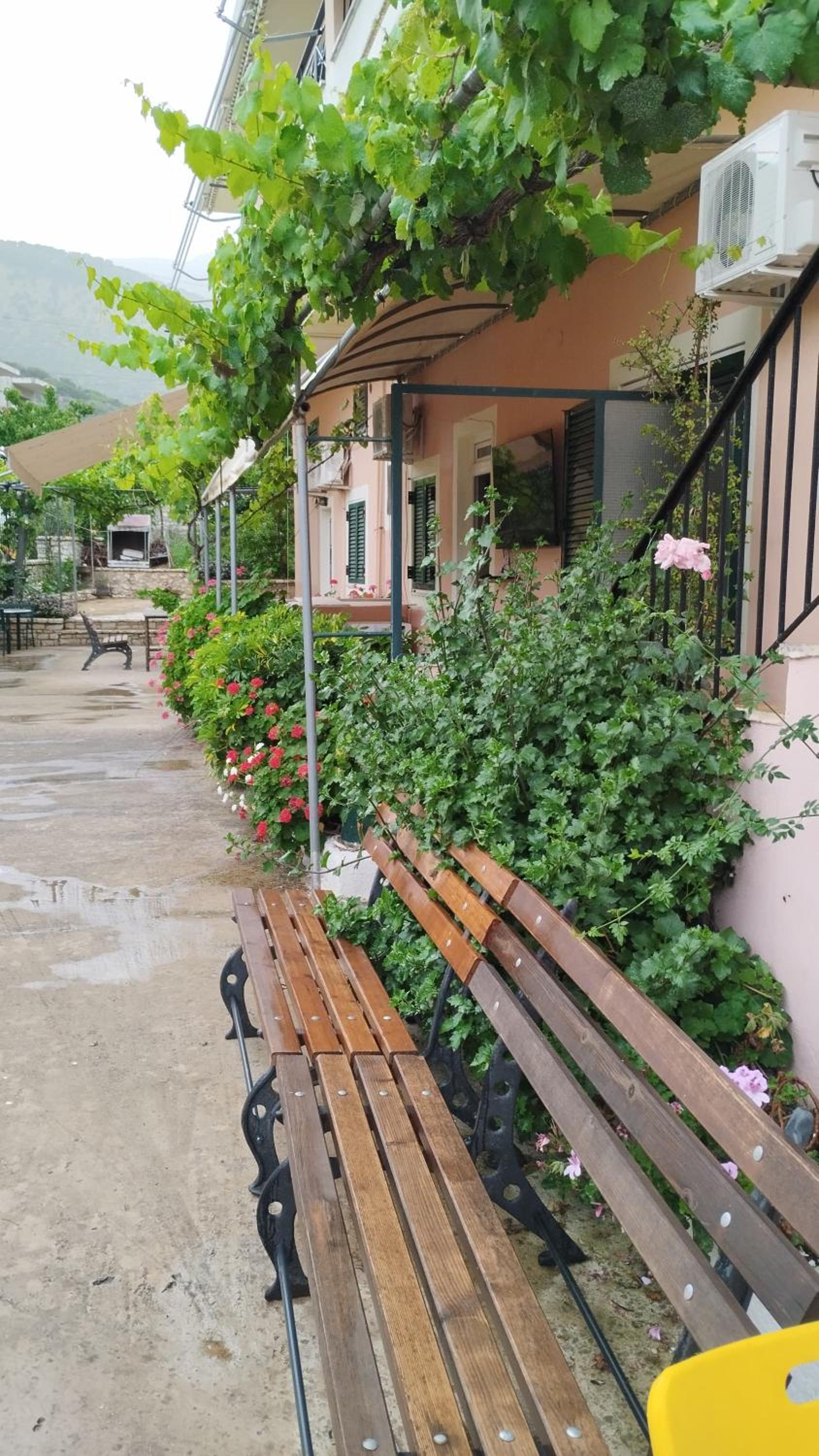 Oasis Hostel