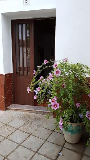 Casa Jara