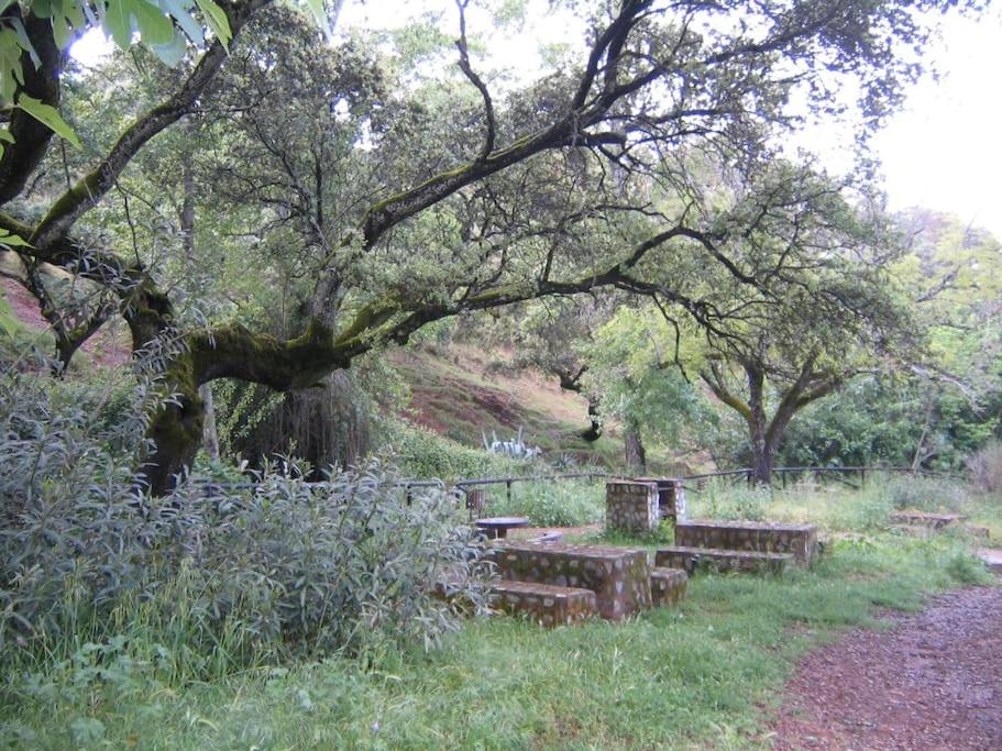 Casa Jara
