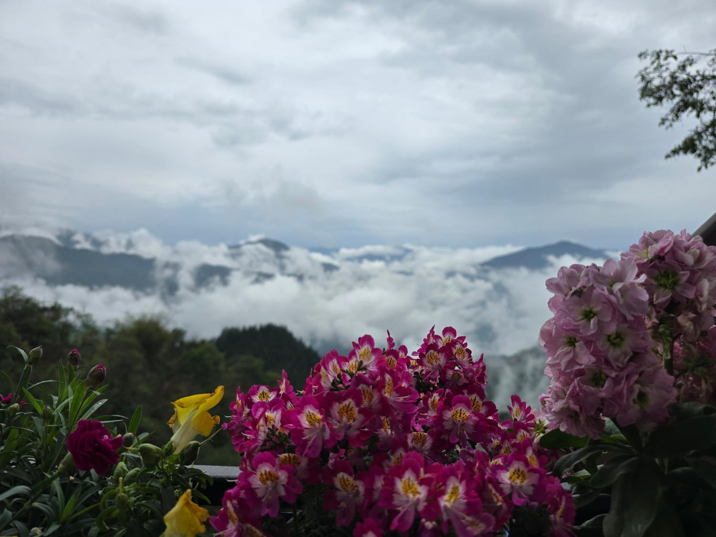 Morning Mist Homestay view 2