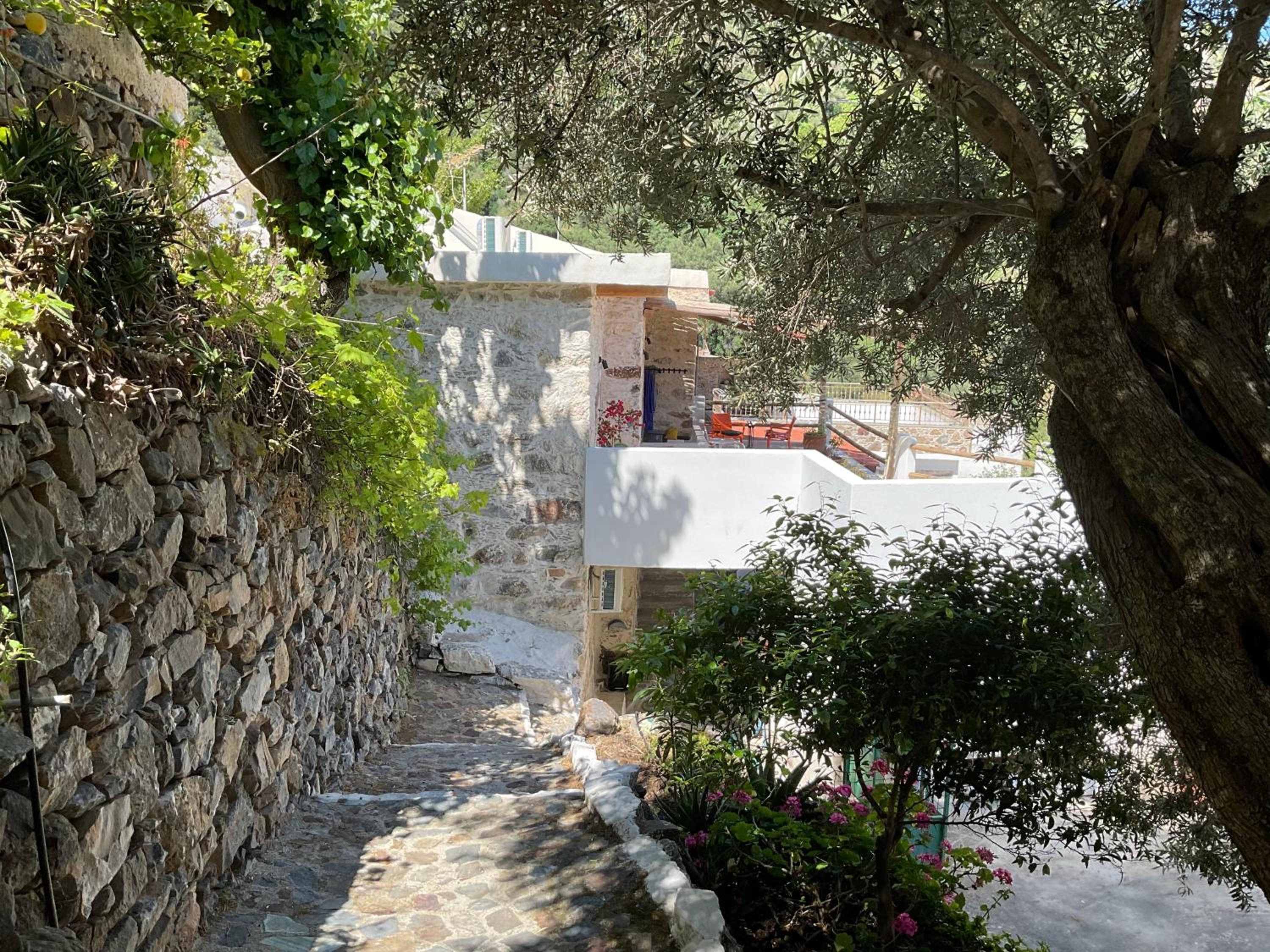 Lemon House 1
