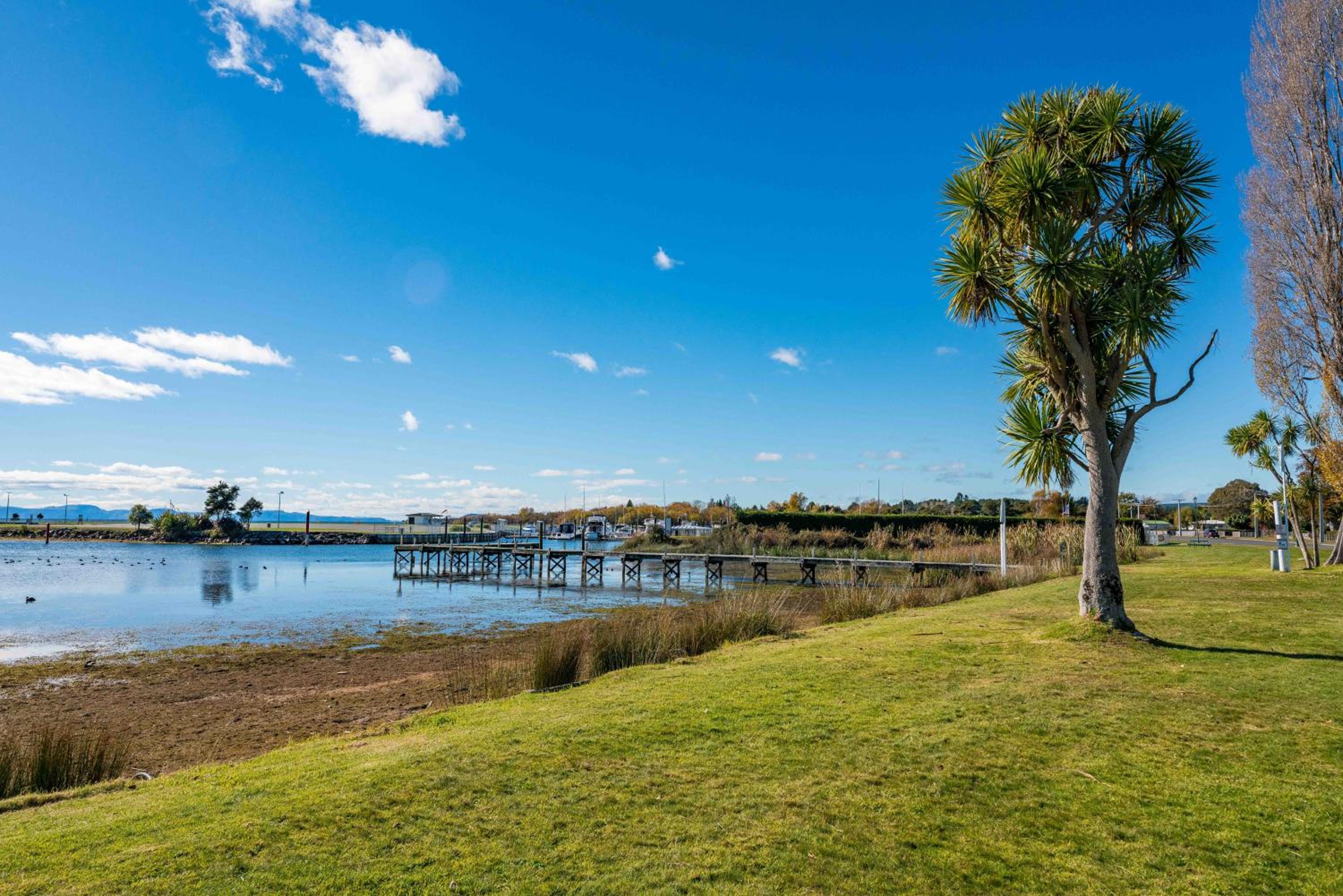 Lakeside Retreat - Motuoapa Holiday Home view 5