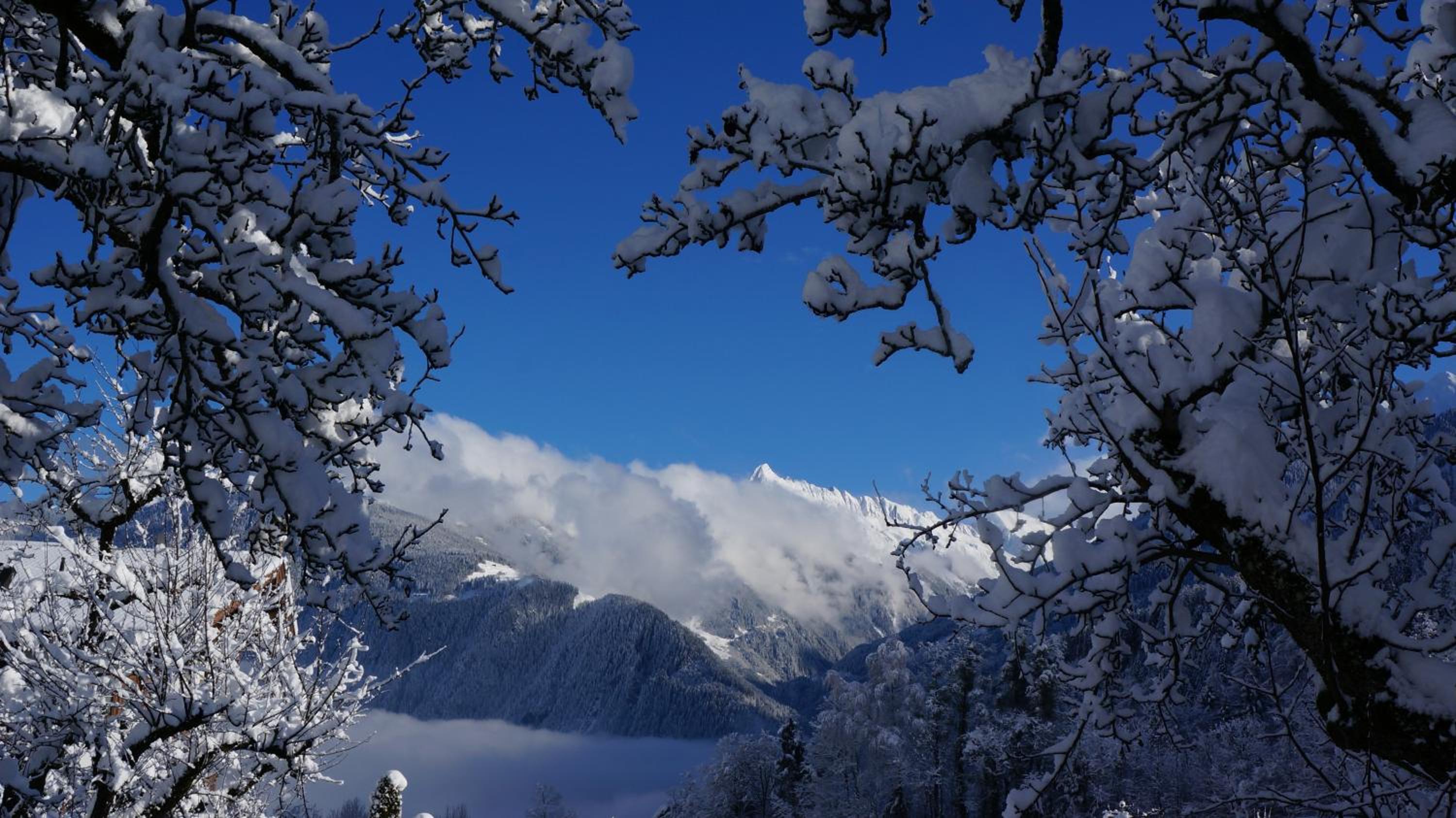 Appartements Alpenblick