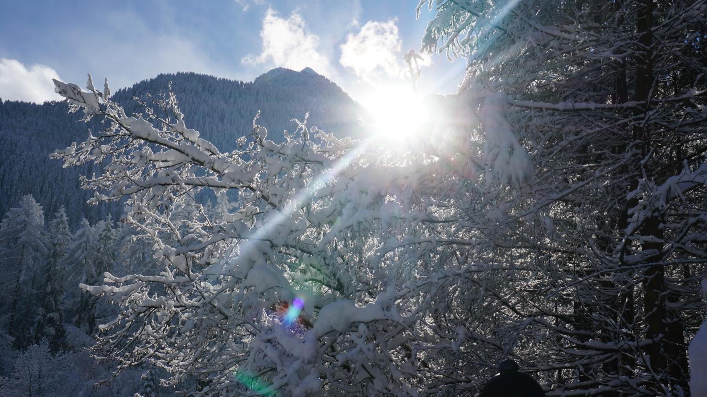 Appartements Alpenblick
