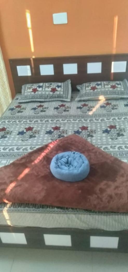 Photo 7