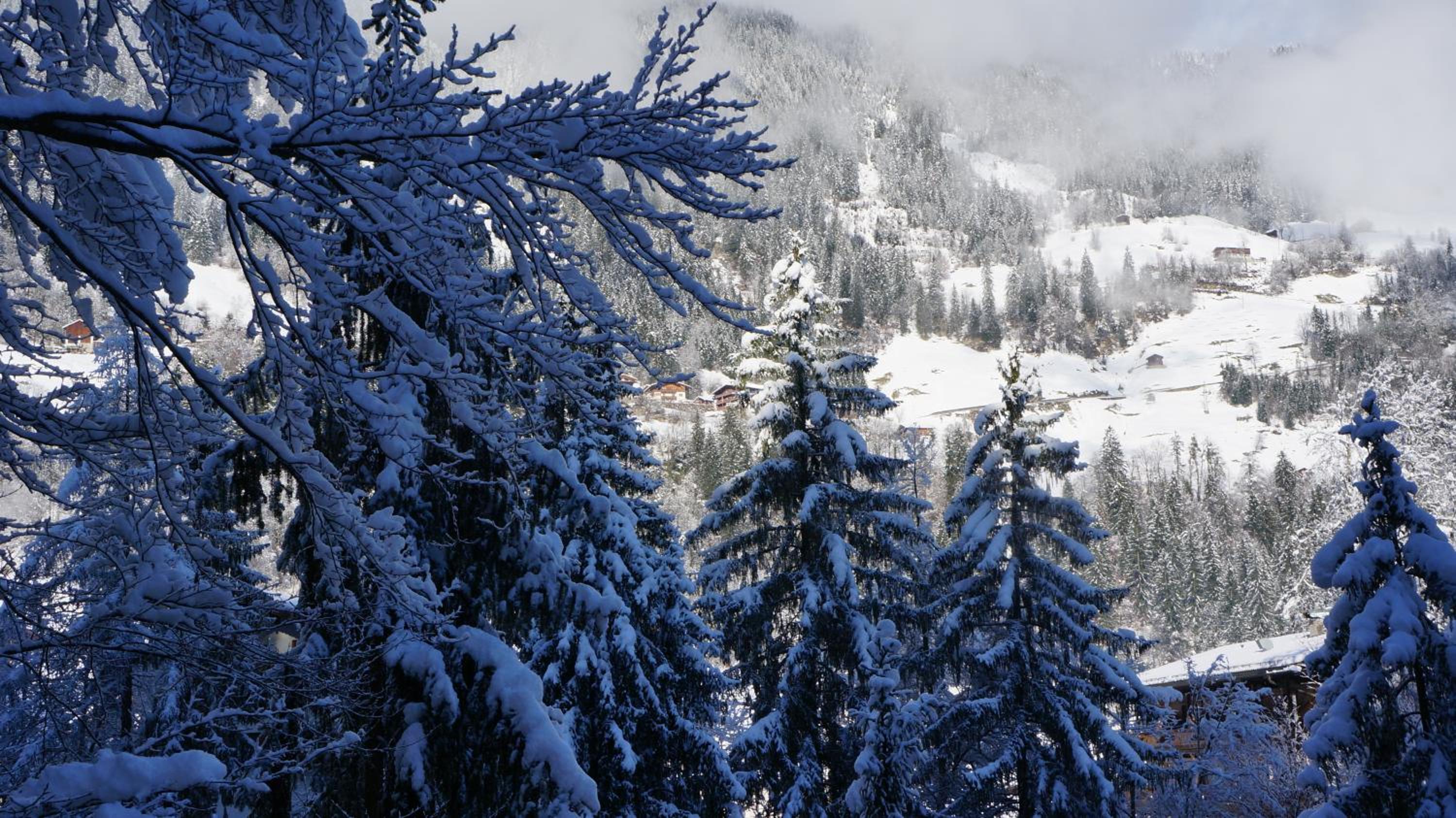 Appartements Alpenblick