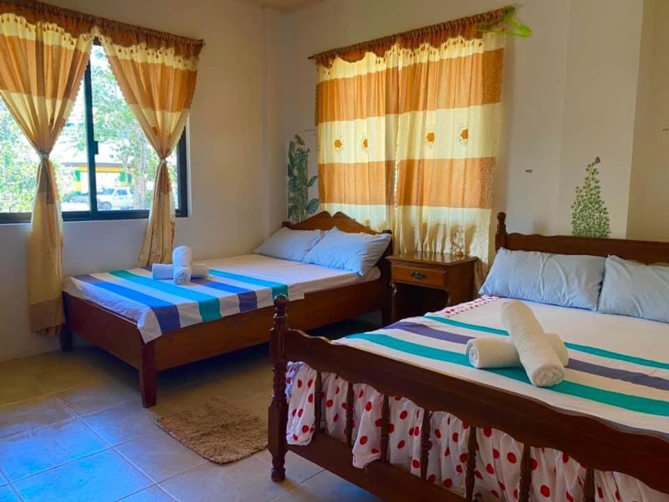 Master Monkey Hostel