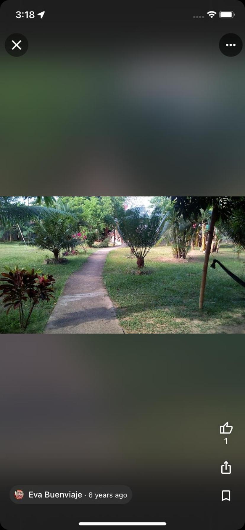 Master Monkey Hostel