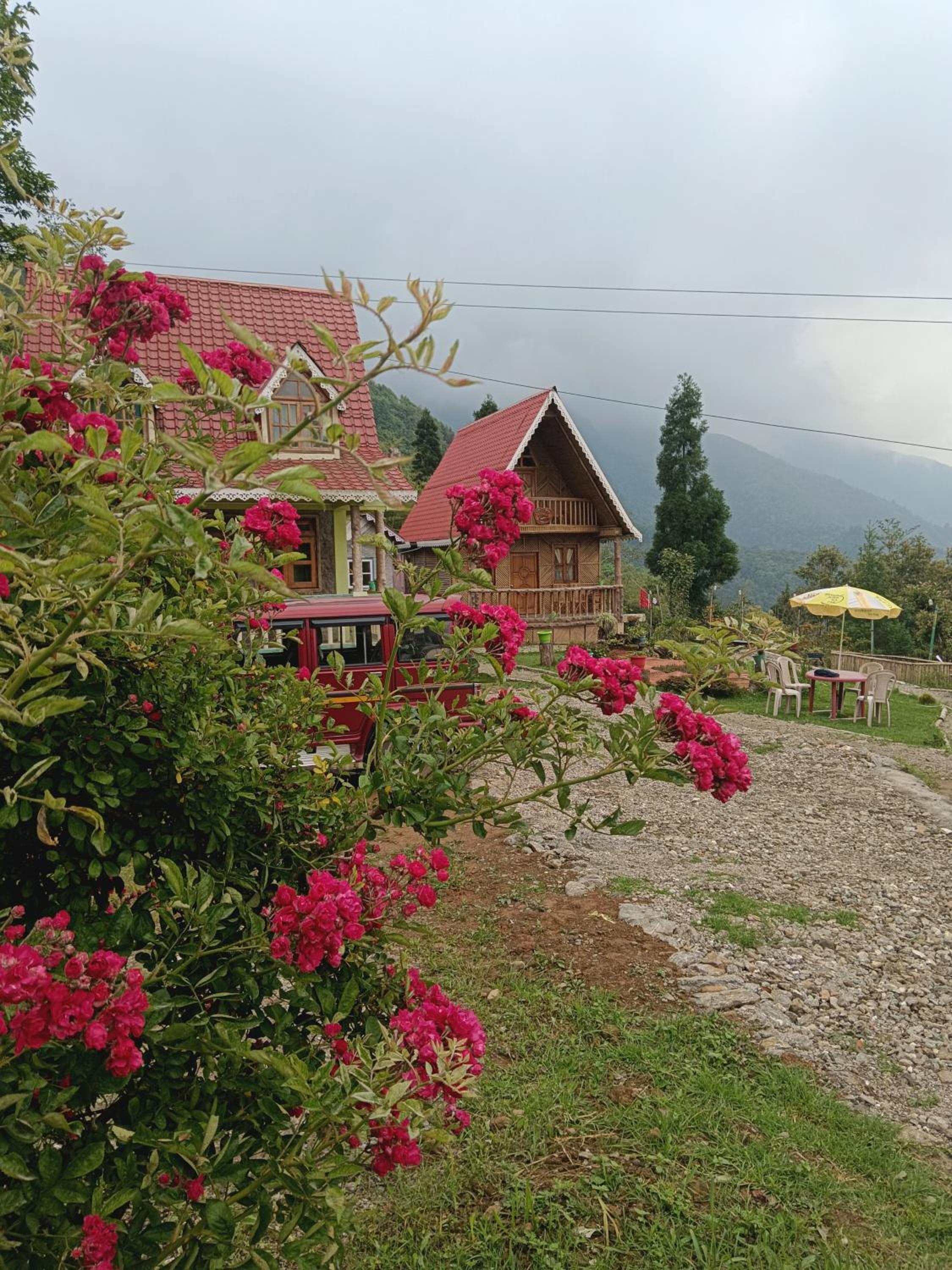 Spring Brooks Homestay view 5