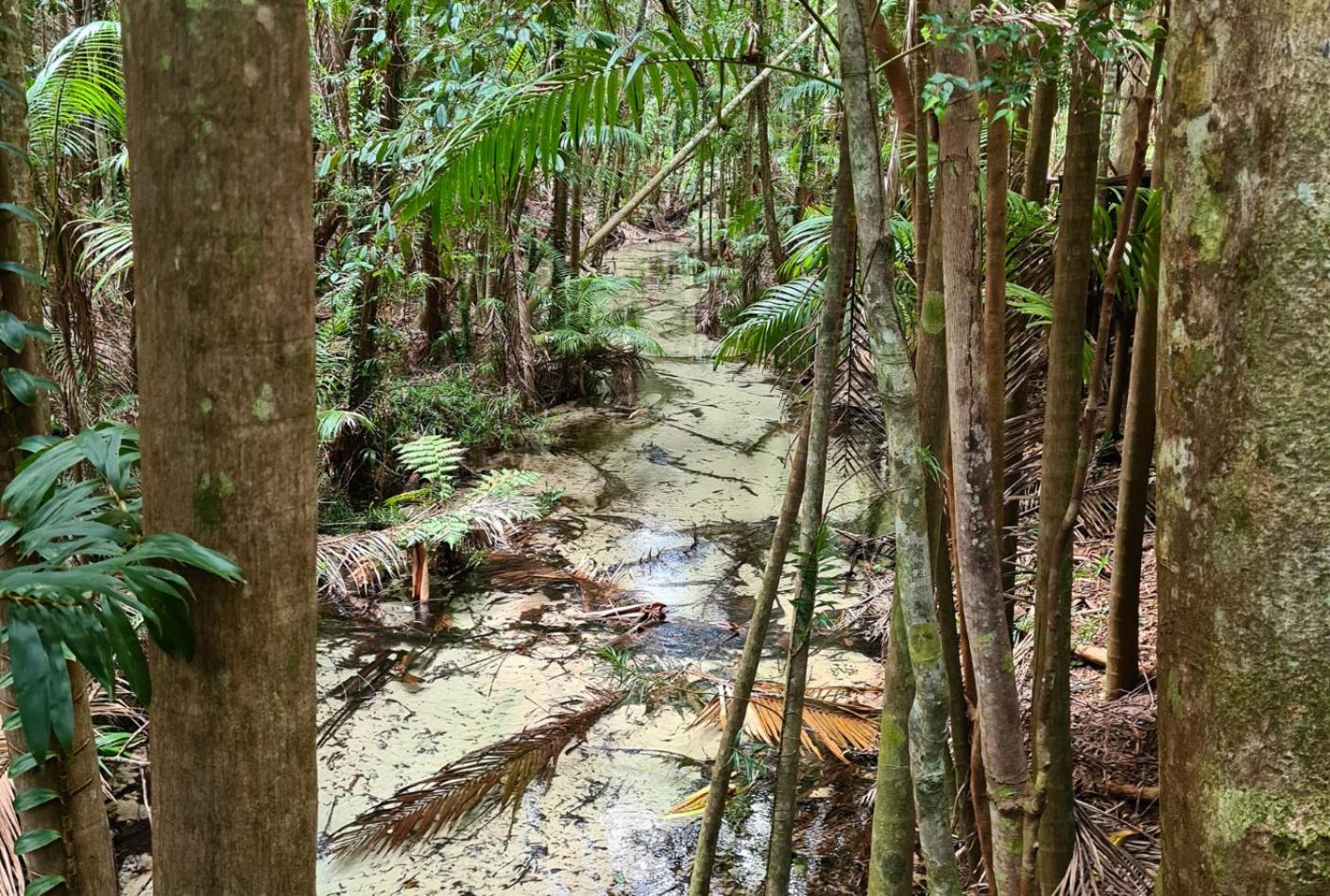 EUROLIE ON HIGH at Kingfisher Bay Fraser Island